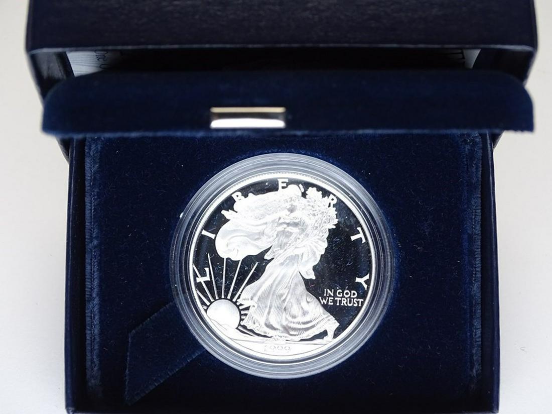 1999 AMERICAN SILVER EAGLE PROOF (1 of 1)