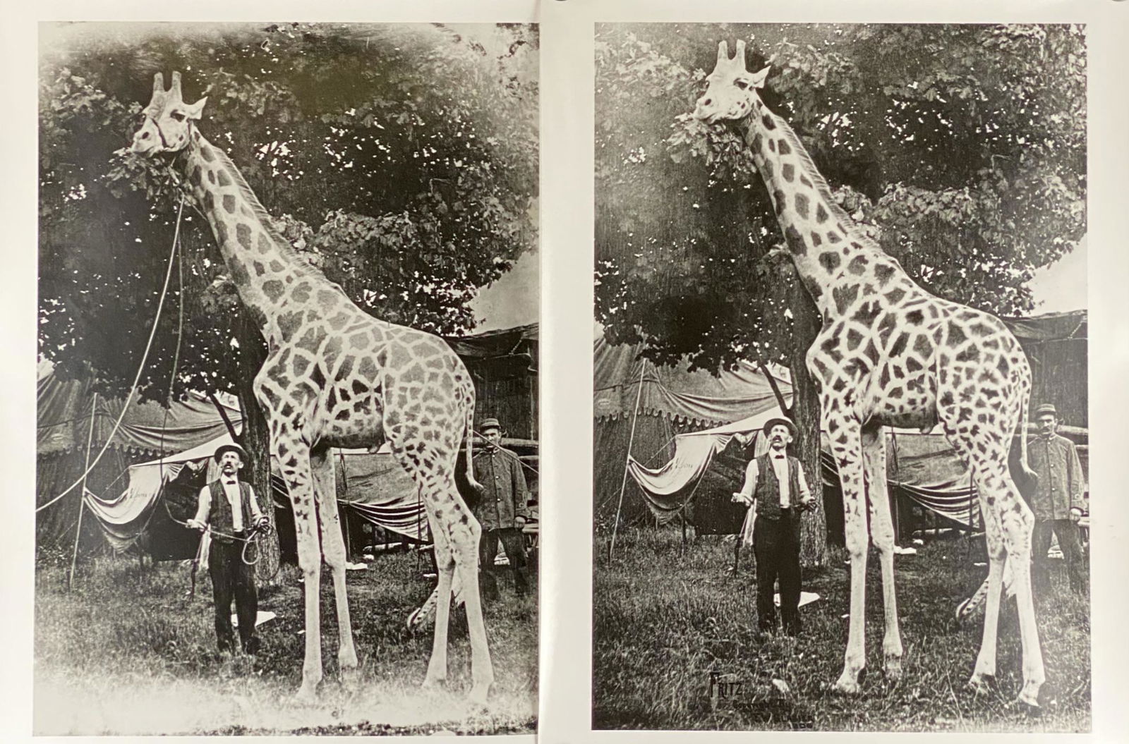 FREDERICK W. GLASIER SILVER GELATIN PHOTOGRAPHS (1 of 1)