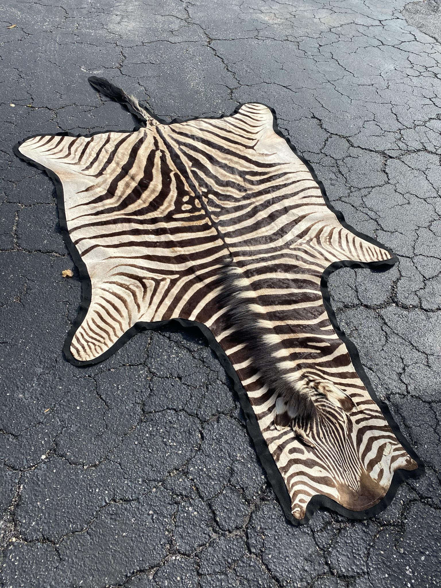 AFRICAN ZEBRA SKIN RUG (1 of 2)