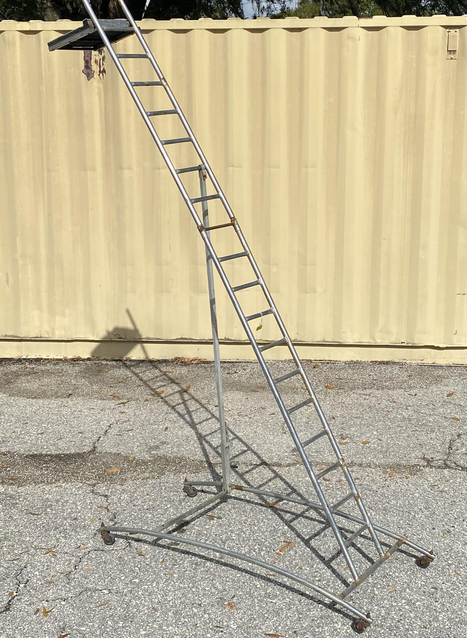 HIGH DIVE LADDER FOR DOGS: JOANNE WILSON COLLECTION. HEIGHT IS 90"