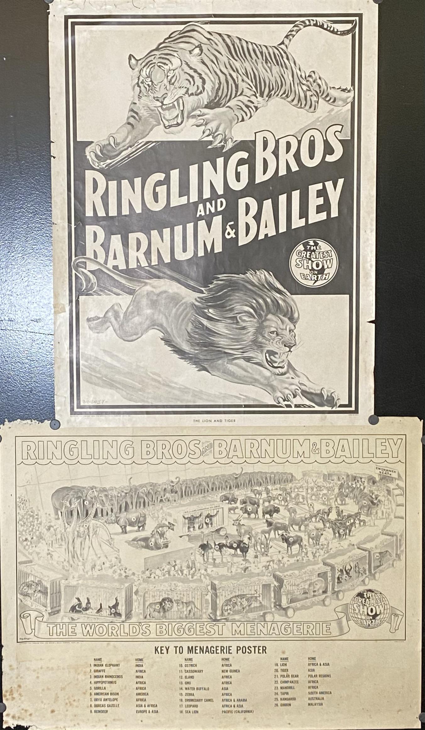 PAIR - RBBB BLACK AND WHITE POSTERS (1 of 1)