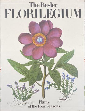 THE BESLER FLORILEGIUM - PLANTS OF THE FOUR SEASONS: 1989 HARRY N. ABRAMS PUBLISHER. 542 PAGES, 373 FULL PAGE COLOR PLATES, 13 TEXT ILLUSTRATIONS IN FULL COLOR. LARGE BOOK WITH JACKET.