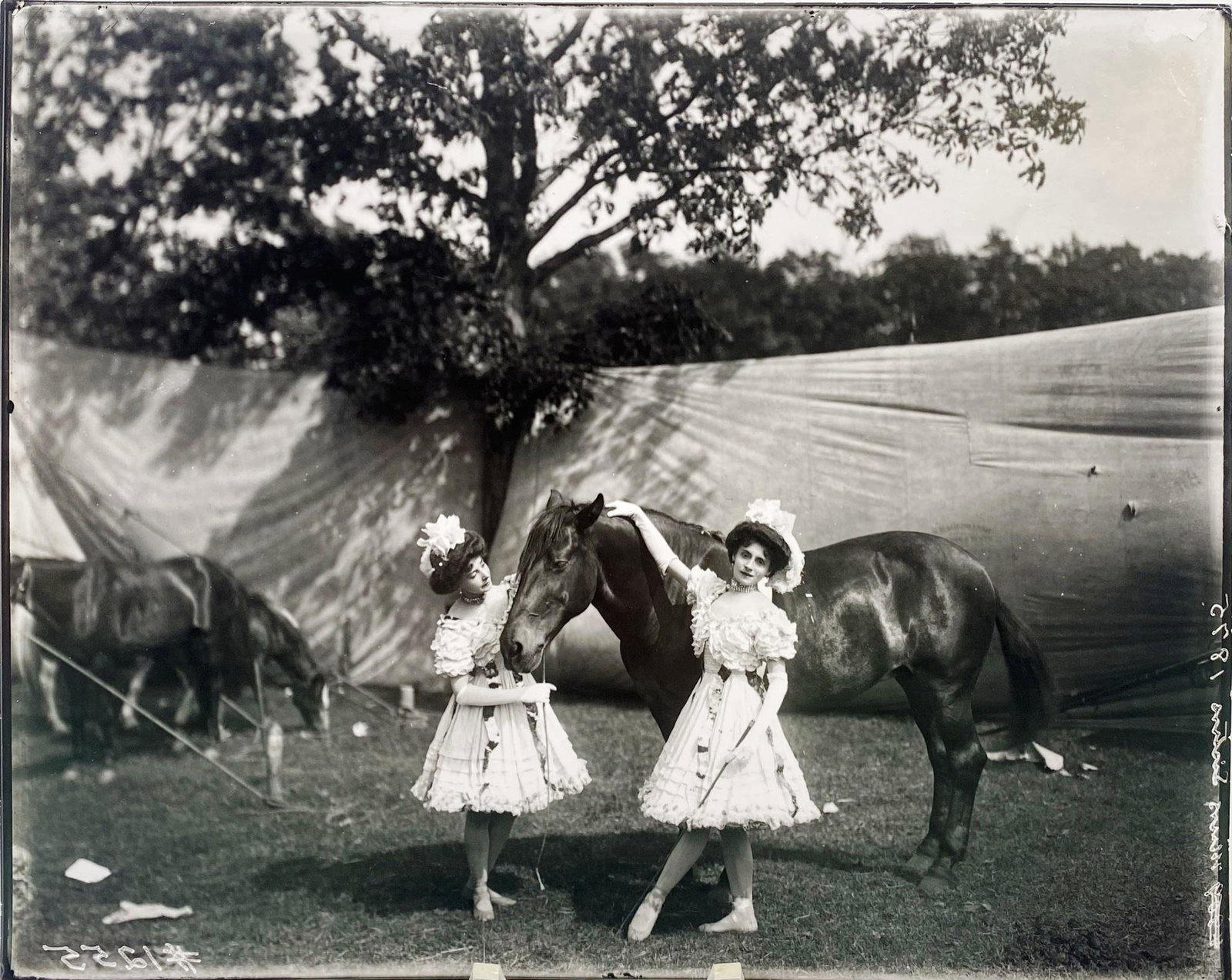 FREDERICK W. GLASIER SILVER GELATIN PHOTOGRAPH: OUIKO & MARIE MEERS, "THE MEERS SISTERS", 1875. FROM THE JOHN HURDLE COLLECTION (FORMER CURATOR OF THE RINGLING MUSUEM - SARASOTA, FLORIDA). THE MUSEUM COMMISSIONED JERRY ULESMANN TO PRINT FROM THE OR