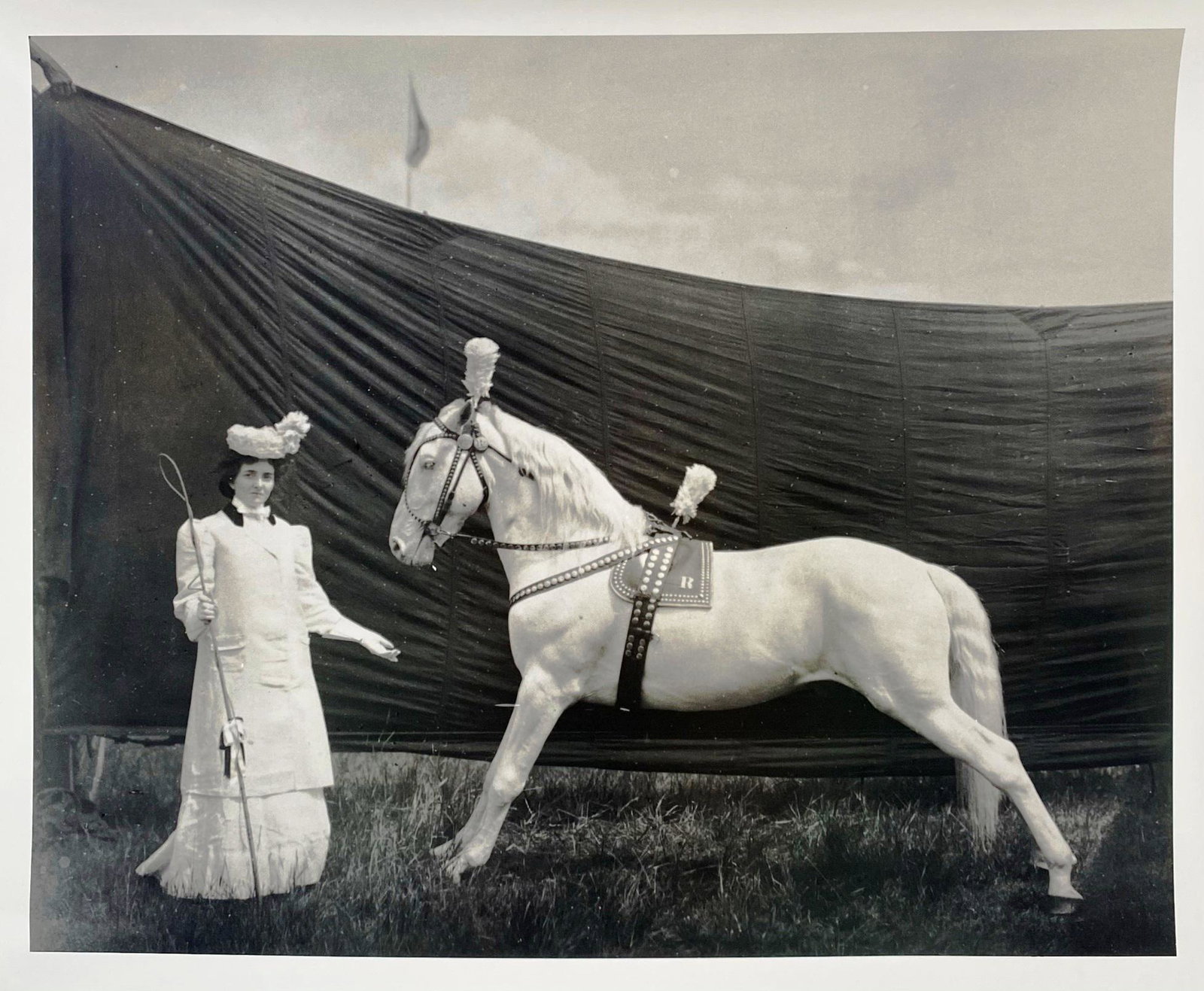 FREDERICK W. GLASIER SILVER GELATIN PHOTOGRAPH: HORSE WITH SHOWWOMAN. FROM THE JOHN HURDLE COLLECTION (FORMER CURATOR OF THE RINGLING MUSUEM - SARASOTA, FLORIDA). THE MUSEUM COMMISSIONED JERRY ULESMANN TO PRINT FROM THE ORIGINAL FREDERICK W. GLASIE