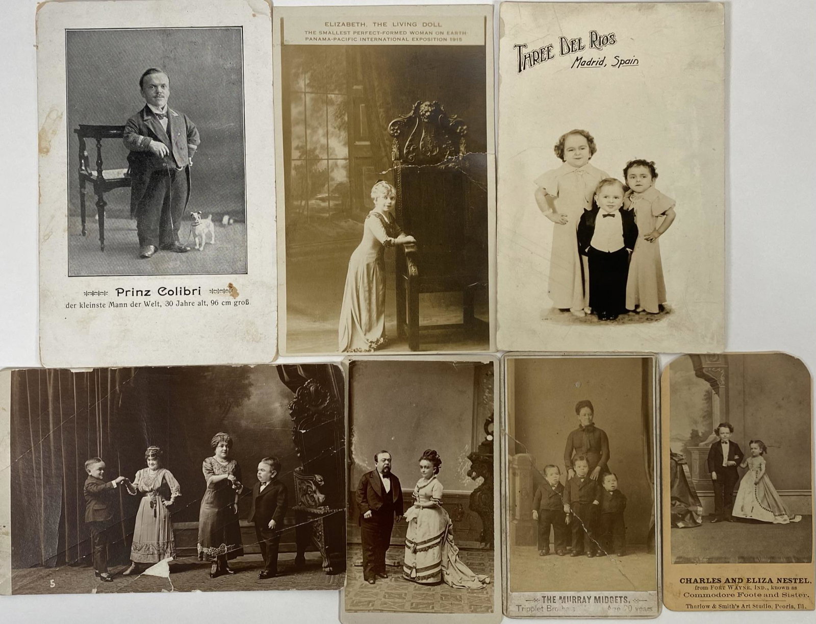 COLLECTION OF DWARF CDV, PITCH AND POSTCARDS: CHARLES AND ELIZA NESTEL, MURRAY MIDGETS, LAVINIA WARREN, THREE DEL RIOS, ELIZABETH THE LIVING DOLL, LE MARECHAL MIDGETS, PRINZ COLIBRI. SOME WITH CREASES.