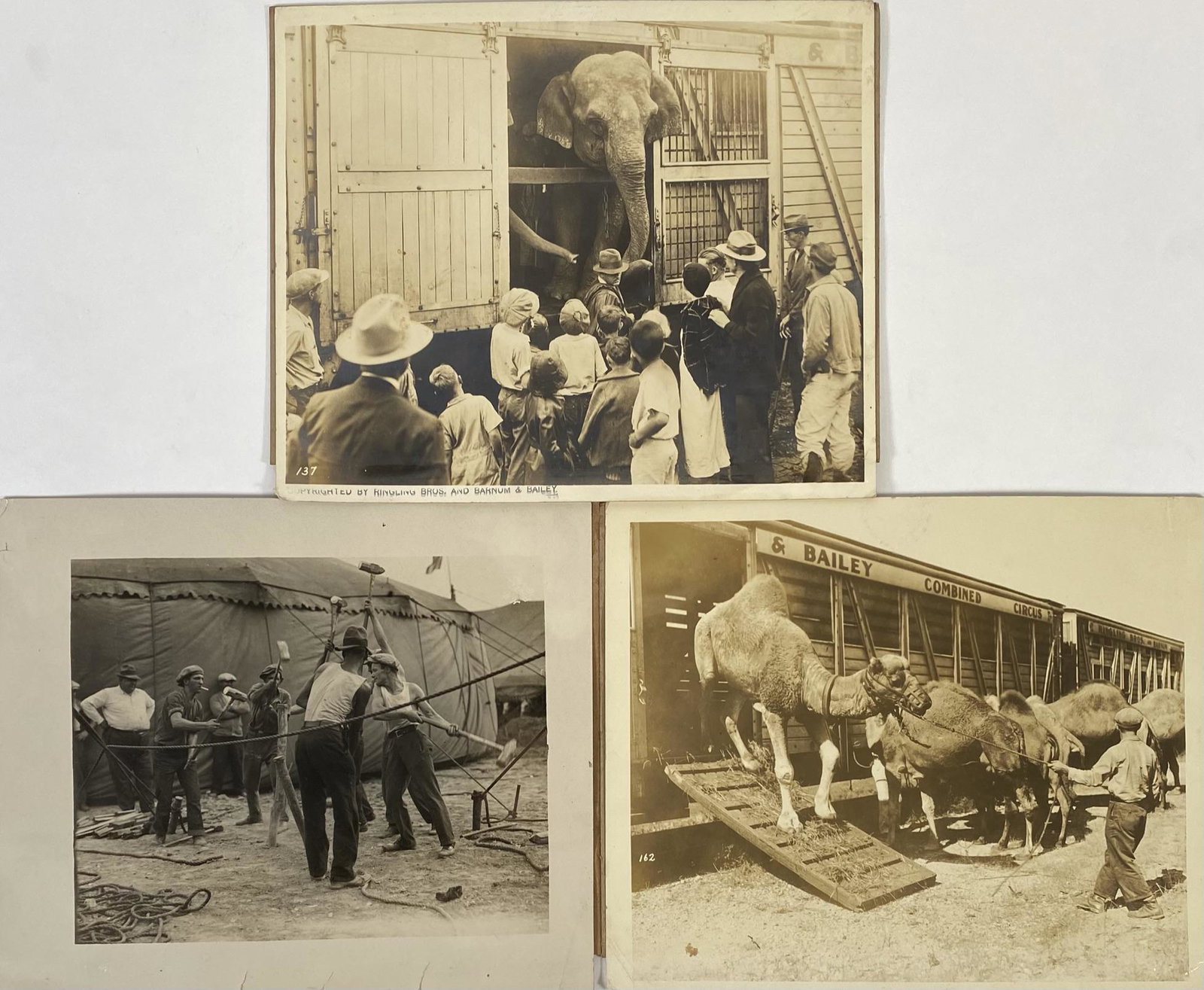 CIRCUS TRAIN AND LOT PHOTOGRAPHS: MOUNTED TO BOARD, 8"X10"