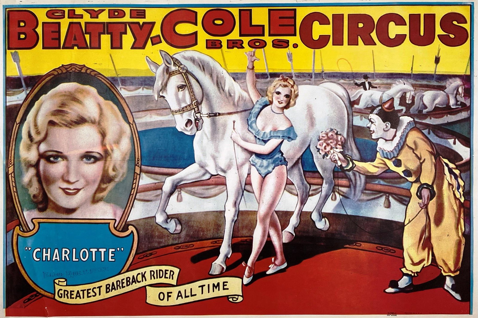 CLYDE BEATTY COLE BROS. CIRCUS POSTER: ONE SHEET, ACME. FEATURING CHARLOTTE - GREATEST BAREBACK RIDER OF ALL TIME. UNMOUNTED, LOWER LEFT CORNER TEAR. IMAGE 28"X42"