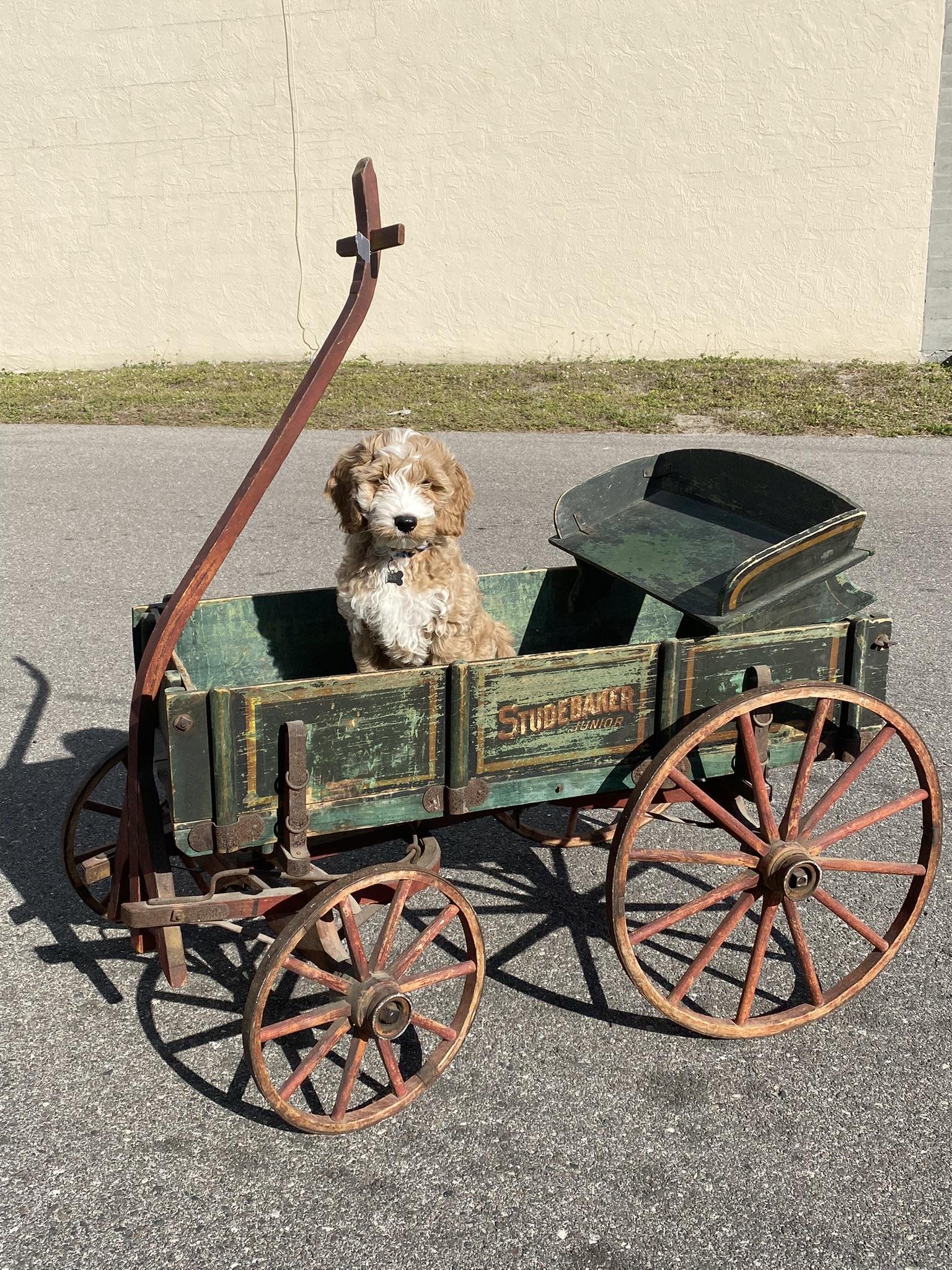 STUDEBAKER WAGON COMPANY JUNIOR WAGON (1 of 1)