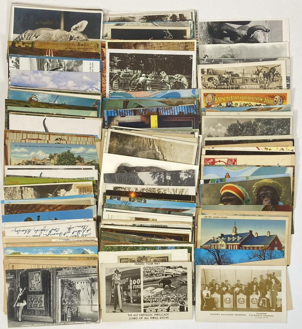 CIRCUS, ANIMAL AND ATTRACTION POSTCARDS (1 of 1)