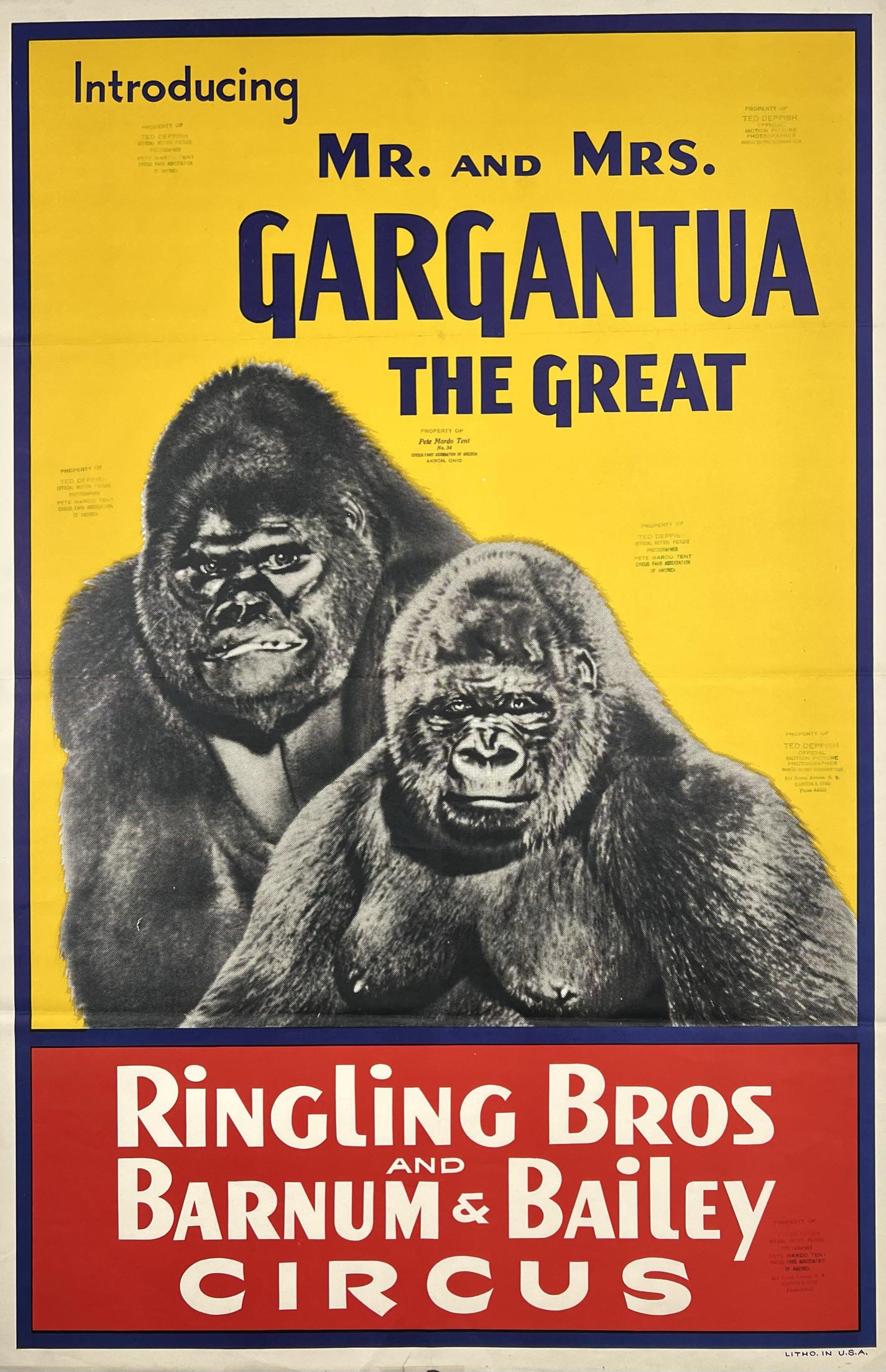 RINGLING BROS. BARNUM BAILEY CIRCUS POSTER: INTRODUCING MR. AND MRS. GARGANTUA THE GREAT. ONE SHEET, 1940'S. UNMOUNTED, PERSONAL PROPERTY STAMPS ON OBVERSE. 27"X41"