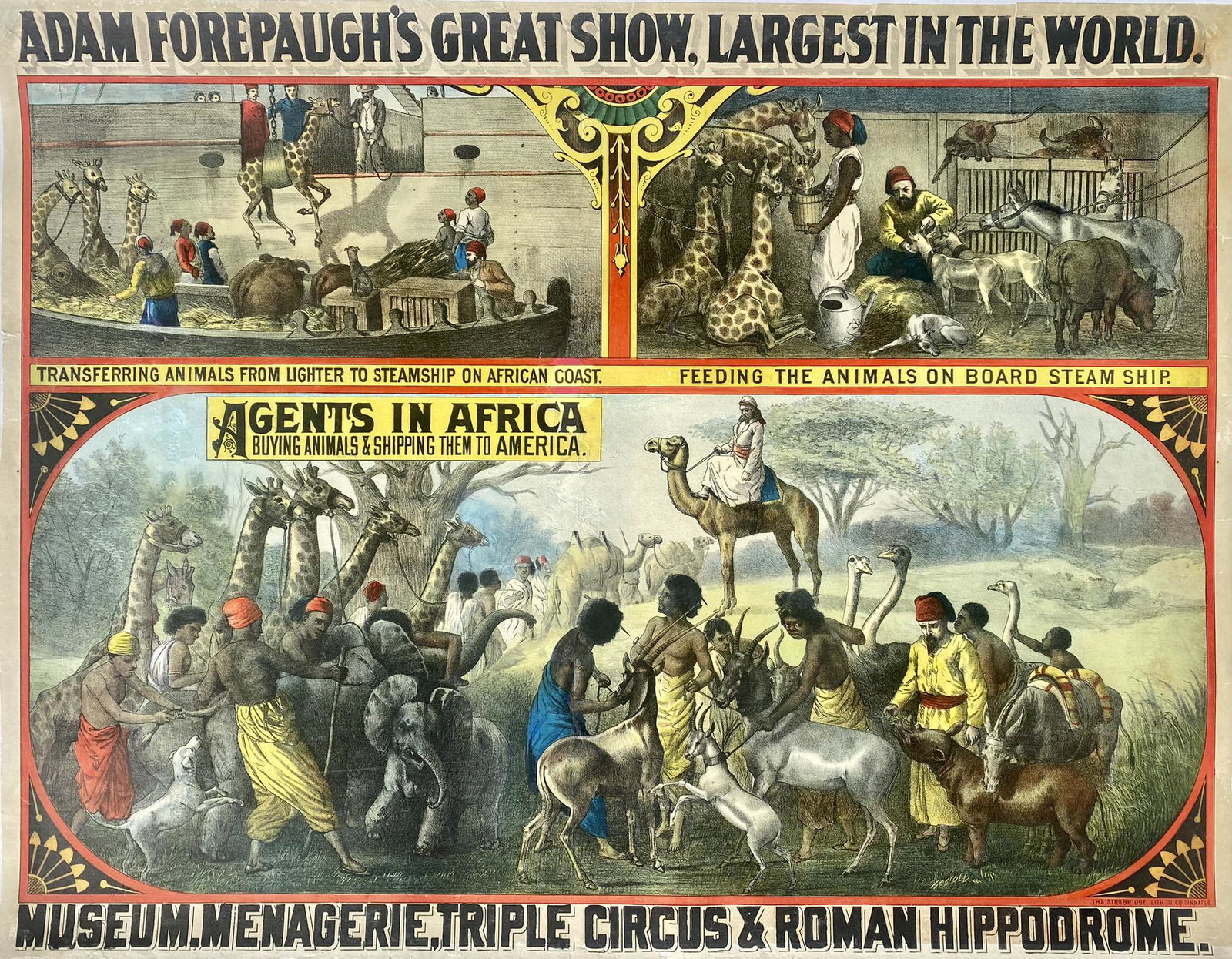 ADAM FOREPAUGH'S GREAT SHOW POSTER (1 of 1)