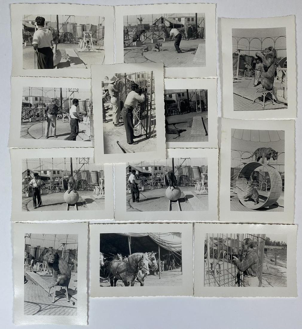 RINGLING BROS. BARNUM & BAILEY CIRCUS WINTERQUARTERS (1 of 1)