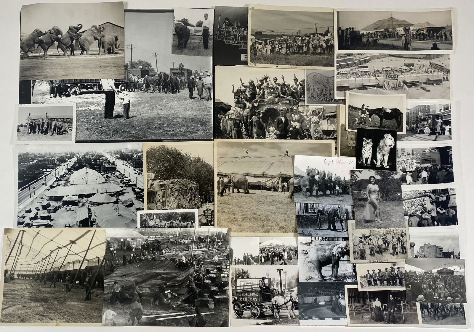 COLLECTION OF CIRCUS PHOTOGRAPHS (1 of 3)