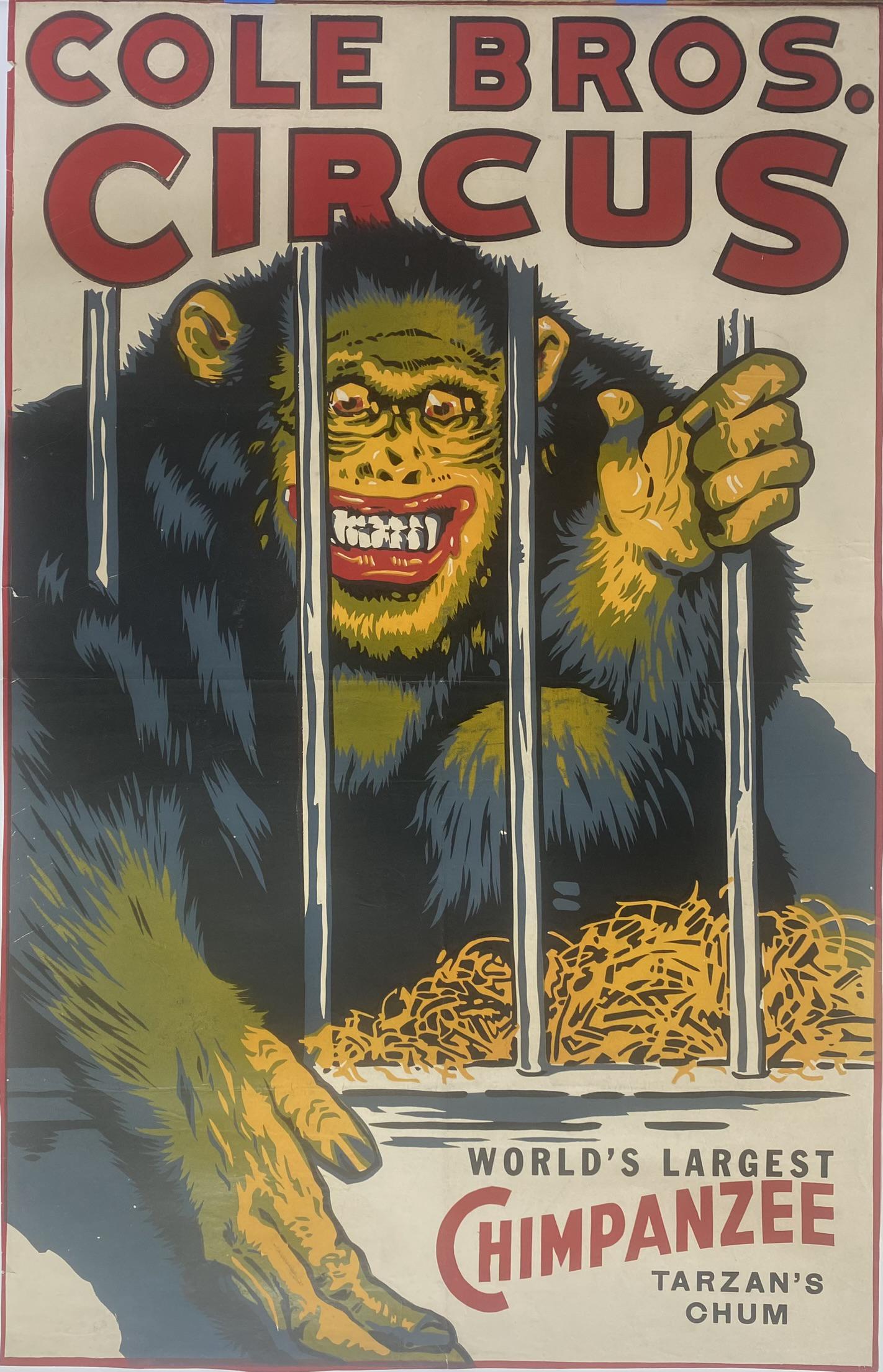 COLE BROS. CIRCUS POSTER: ONE SHEET FEATURING WORLD'S LARGEST CHIMPANZEE - TARZAN'S CHUM. UNMOUNTED, MARGINS TRIMMED. 25.5"X40"