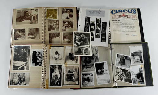 M'TOTO THE GORILLA - MARIA HOYT - TOMAS FAMILY COLLECTION: GROUPING OF PHOTO ALBUMS DIRECTLY FROM THE HOYT AND TOMAS ESTATES. ALBUMS DEDICATED TO M'TOTO "THE QUEEN OF THE GORILLA'S, WHO WAS OWNED BY MARIA HOYT AS EARLY AS A BABY AND WAS UNDER THE CARE OF