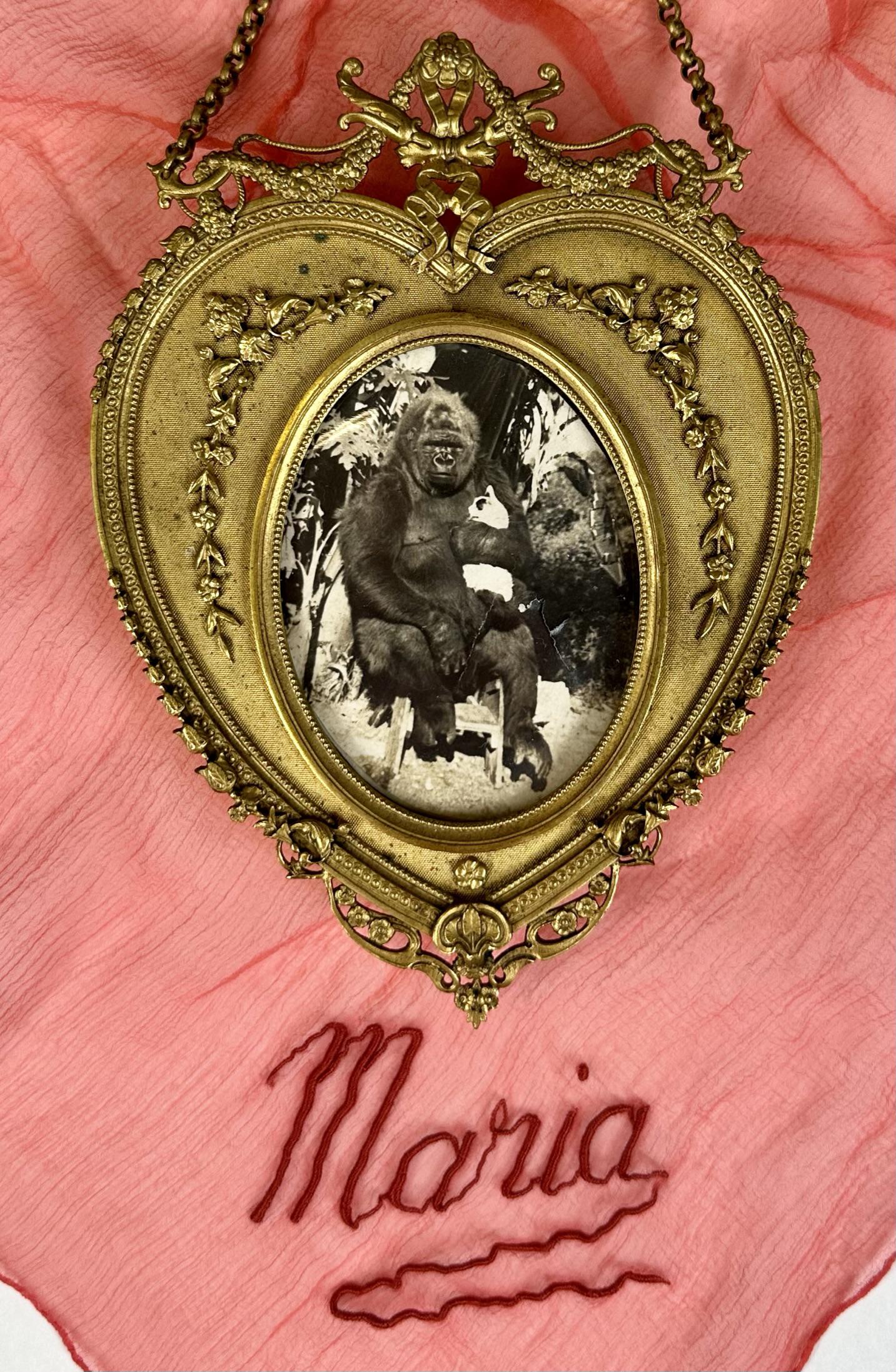 MARIA HOYT - M'TOTO GORILLA PHOTOGRAPH AND SCARF (1 of 2)