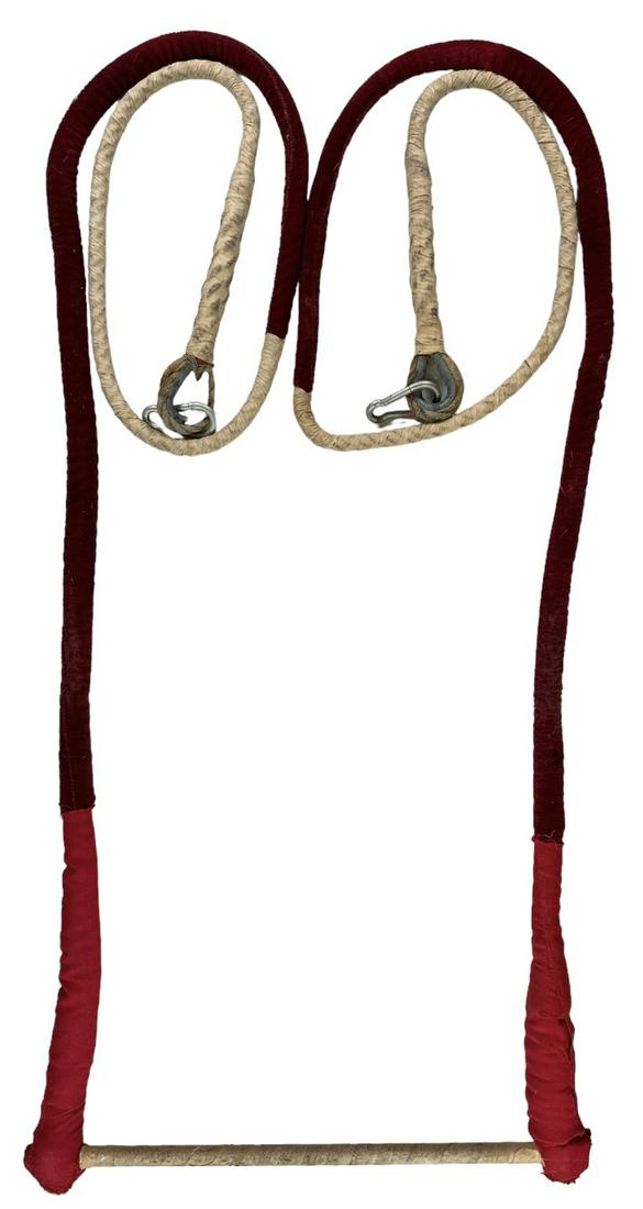 LA NORMA FOX TRAPEZE BAR (1 of 1)