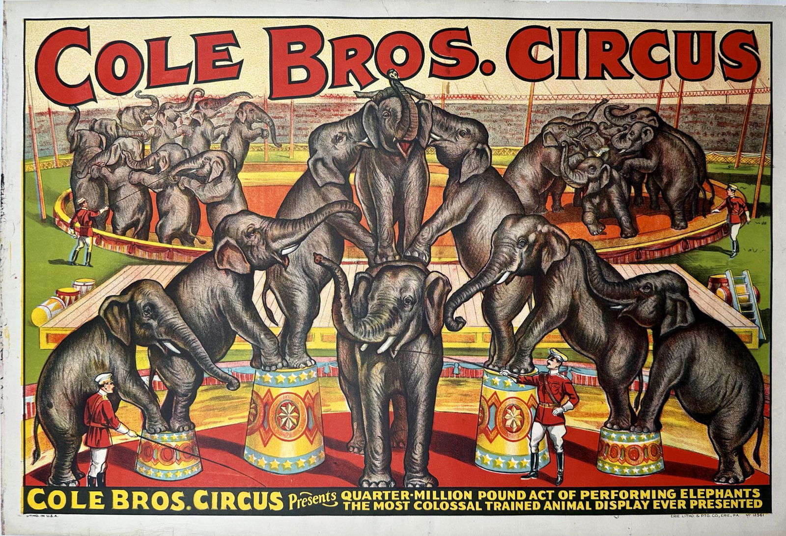COLE BROS. CIRCUS POSTER - ELEPHANTS (1 of 1)
