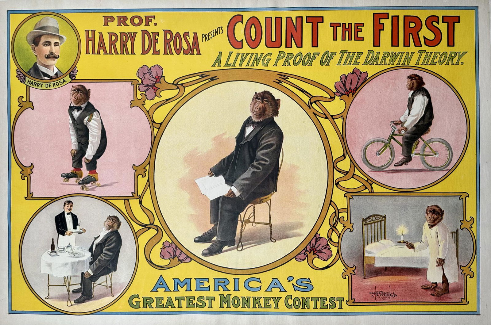 HARRY DE ROSA COUNT THE FIRST POSTER (1 of 1)