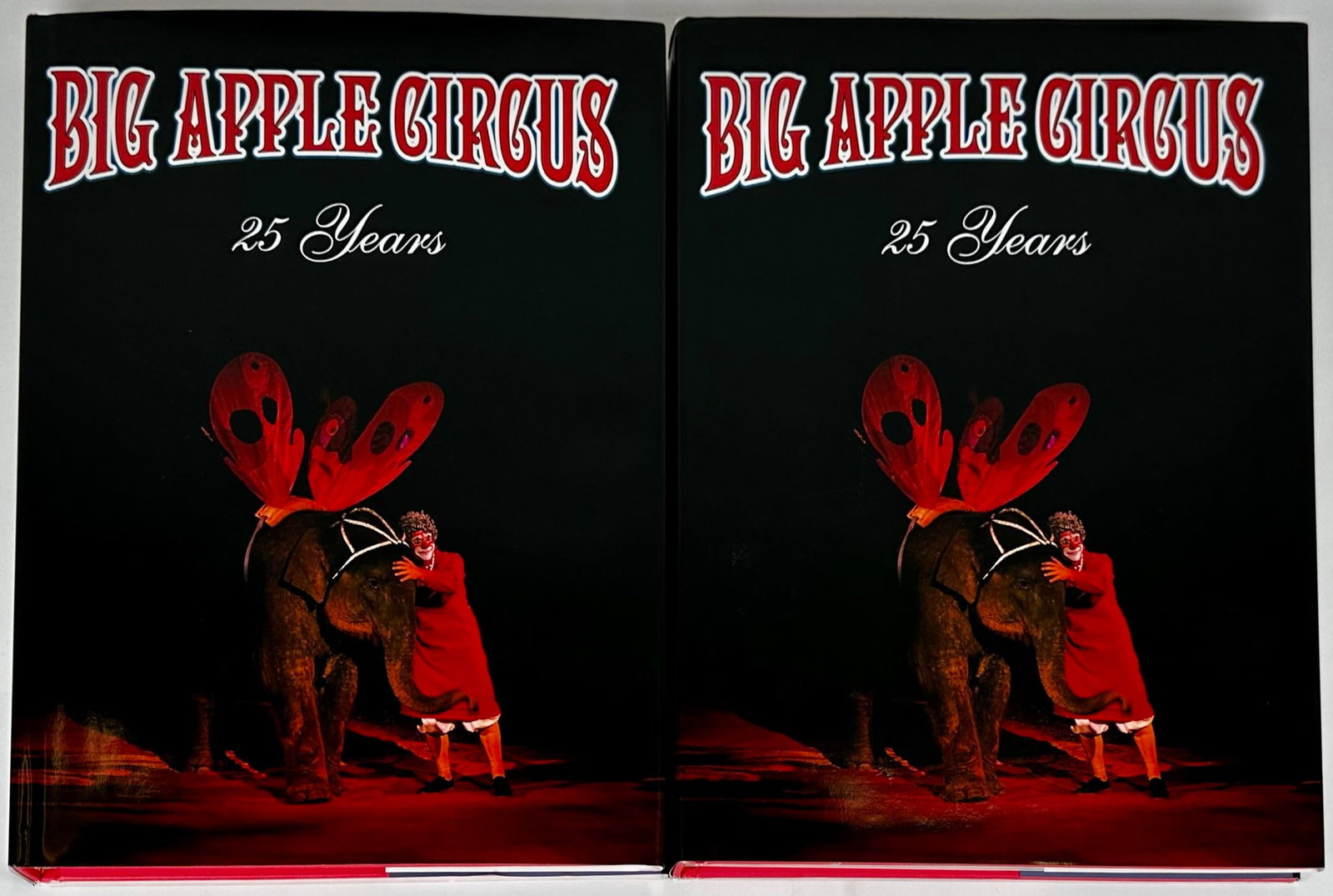 THE BIG APPLE CIRCUS - 25 YEARS: TWO COPIES OF THE BIG APPLE CIRCUS - 25 YEARS. HARDCOVER WITH JACKET.
