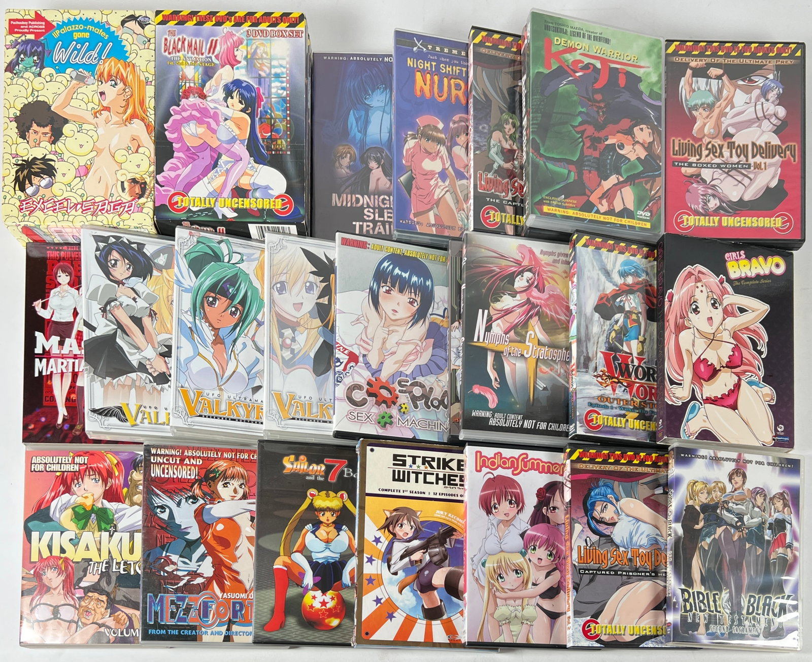 ADULT ANIME DVD MEDIA: ADULT ONLY ANIME DVD MEDIA