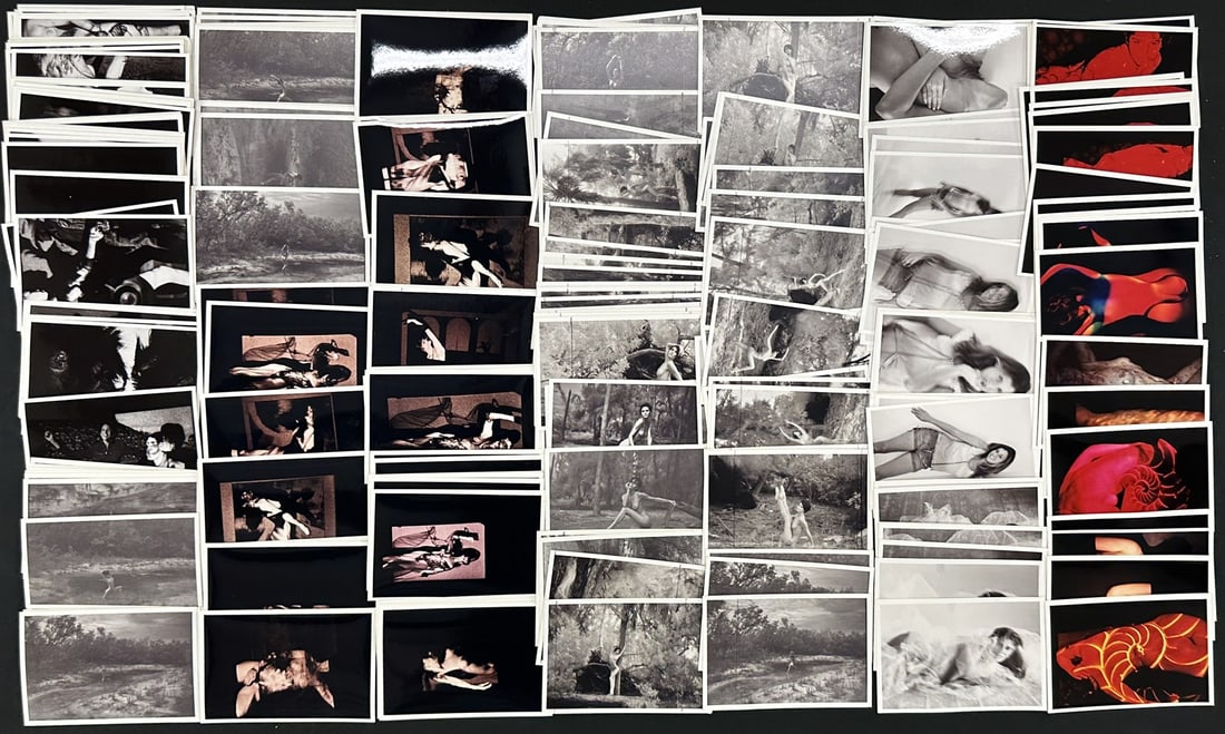 ARNOLD BERNS PHOTOGRAPH COLLECTION: ARNOLD BERNS (D. 2021, SARASOTA, FL) PROFESSIONAL PHOTOGRAPHER COLLECTION. NUDES AND BODYSCAPE. ALL 4"X6".