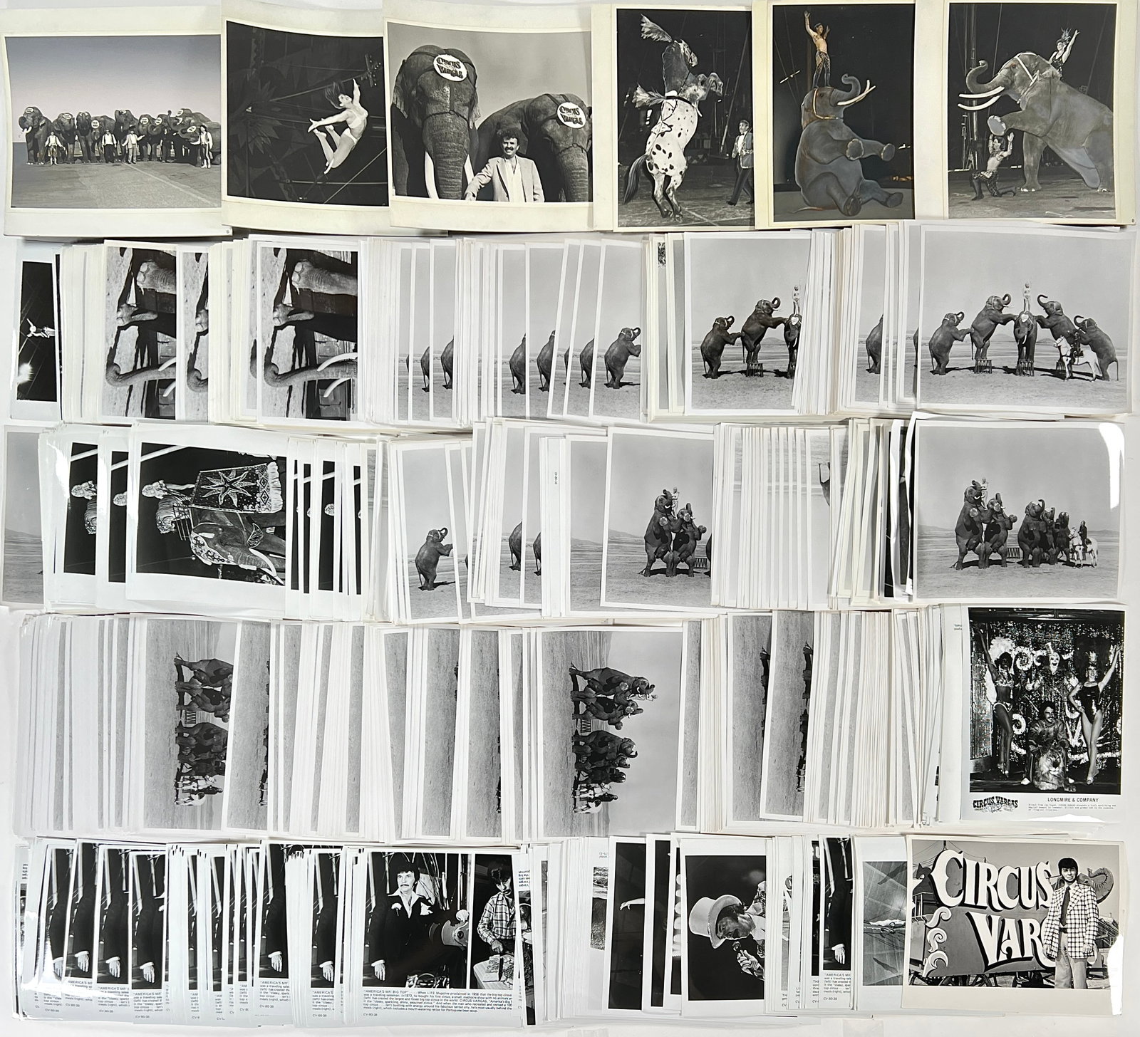 CIRCUS VARGAS PHOTOGRAPHY (1 of 1)
