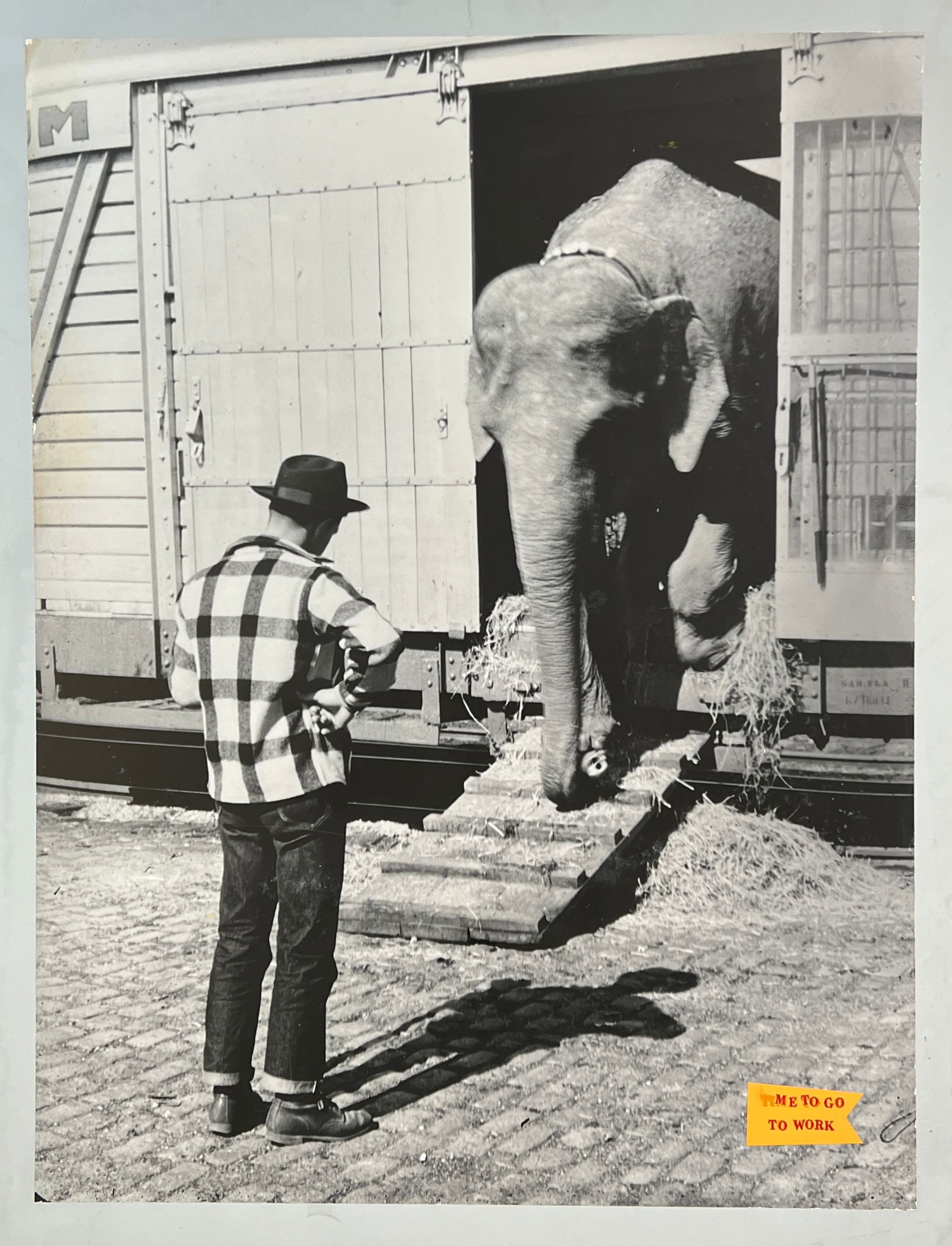 LARGE FORMAT CIRCUS PHOTO PRINTS (1 of 4)