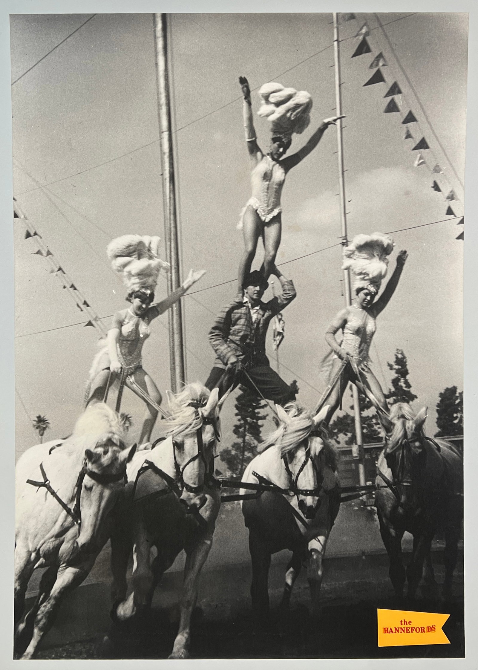 LARGE FORMAT CIRCUS PHOTO PRINT (1 of 1)