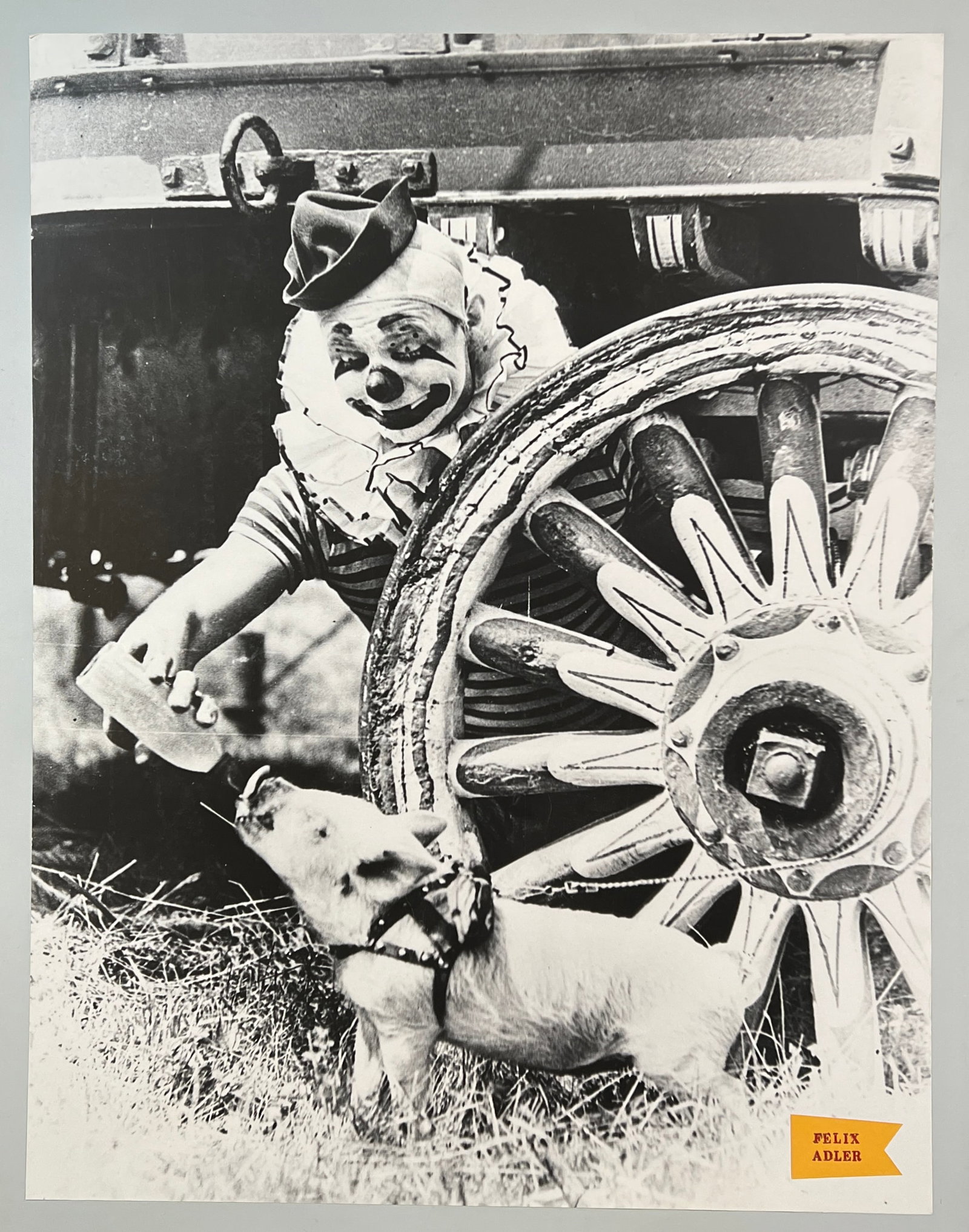 LARGE FORMAT CIRCUS PHOTO PRINT (1 of 1)