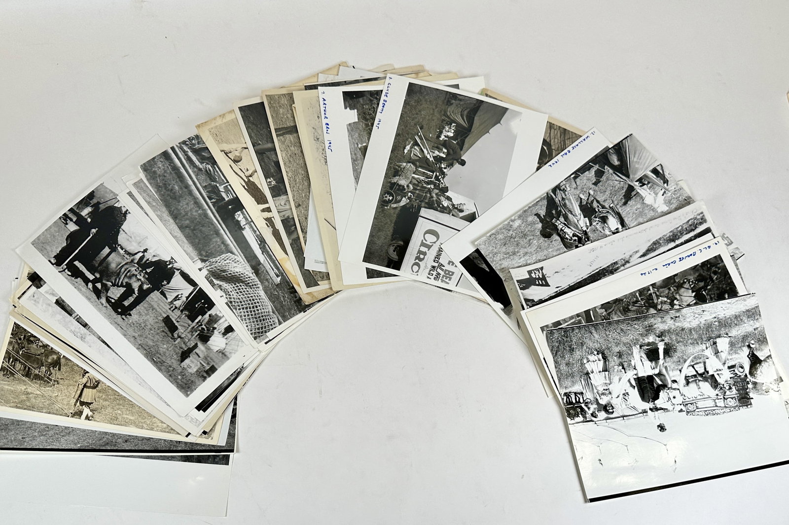 CIRCUS PHOTOGRAPH COLLECTION - BACKYARD (1 of 6)