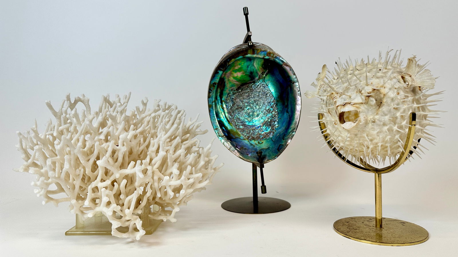 SEA FINDINGS (1 of 7)