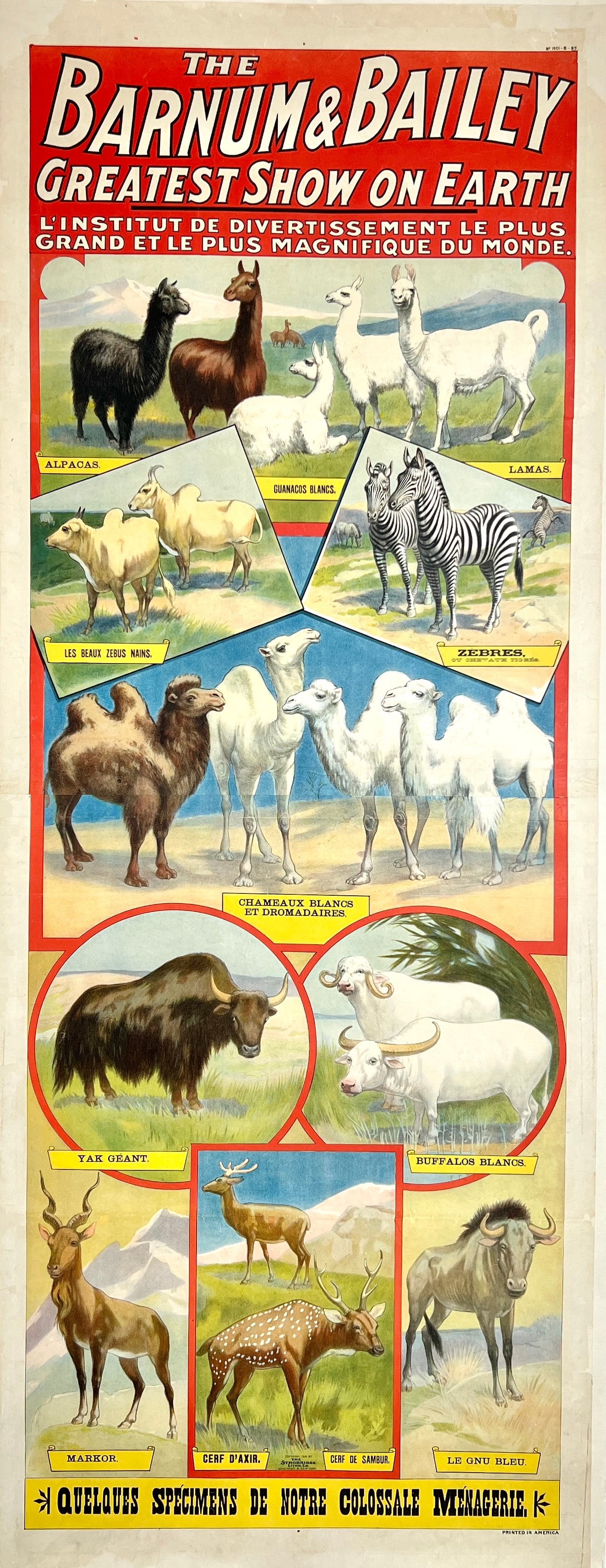 BARNUM AND BAILEY CIRCUS POSTER (1 of 1)