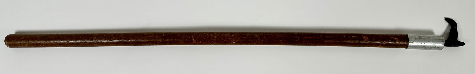 ELEPHANT TRAINER ANKUS (1 of 3)