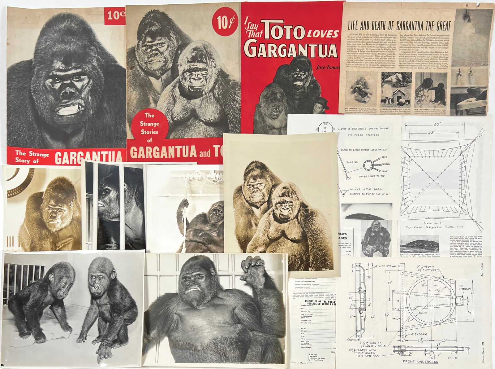 VINTAGE CIRCUS PHOTOGRAPH COLLECTION (1 of 1)