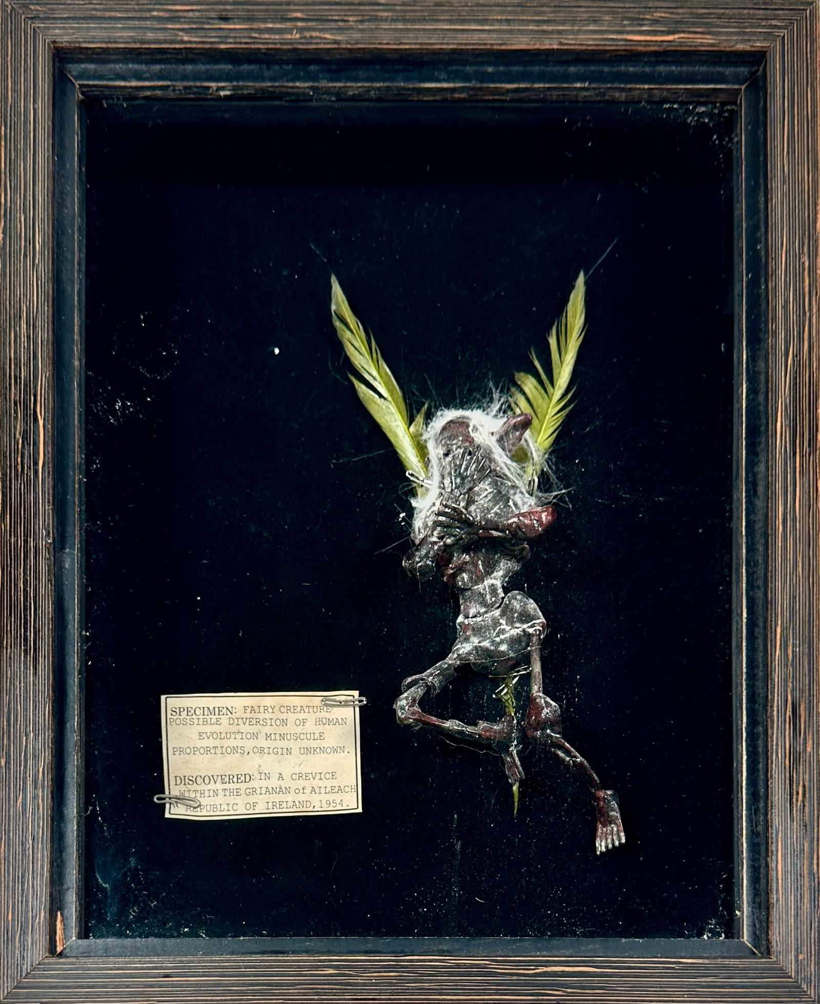SIDESHOW SPECIMEN GAFF - FAIRY CREATURE (1 of 1)