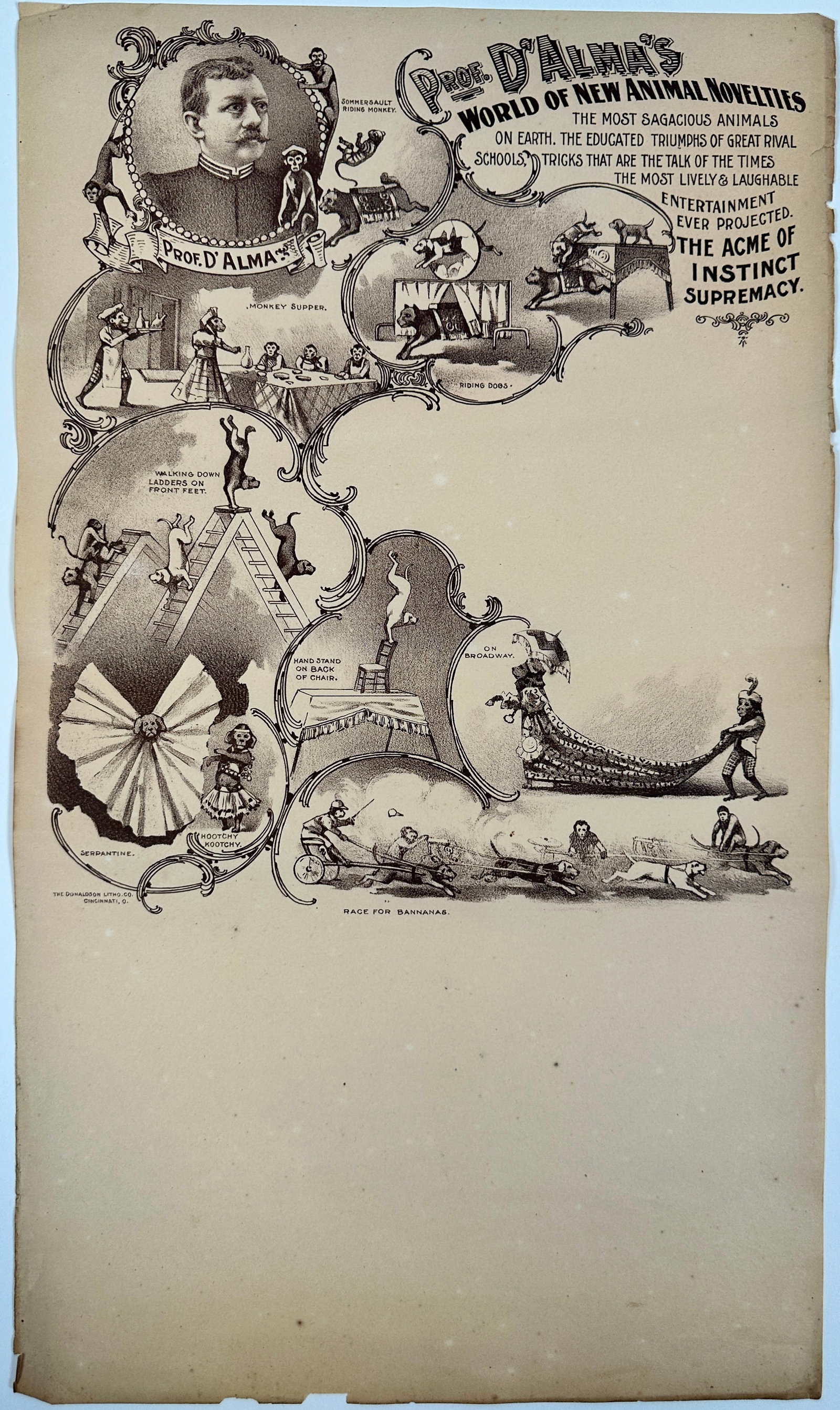 PROF. D'ALMA'S LETTERHEAD: PROF D'ALMA'S WORLD OF NEW ANIMAL NOVELTIES. THE MOST SAGACIOUS ANIMALS ON EARTH. THE EDUCATED TRIUMPHS OF GREAT RIVAL SCHOOL, TRICKS THAT ARE THE TALK OF THE TIMES, THE MOST LIVELY AND LAUGHABLE ENTE