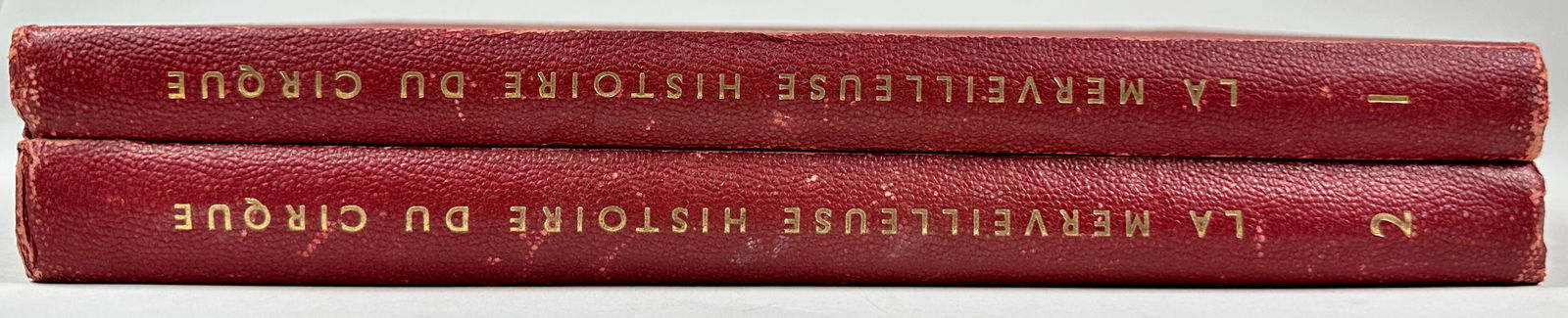 LA MERVEILLEUSE HISTOIRE - DU CIRCQUE (1 of 4)