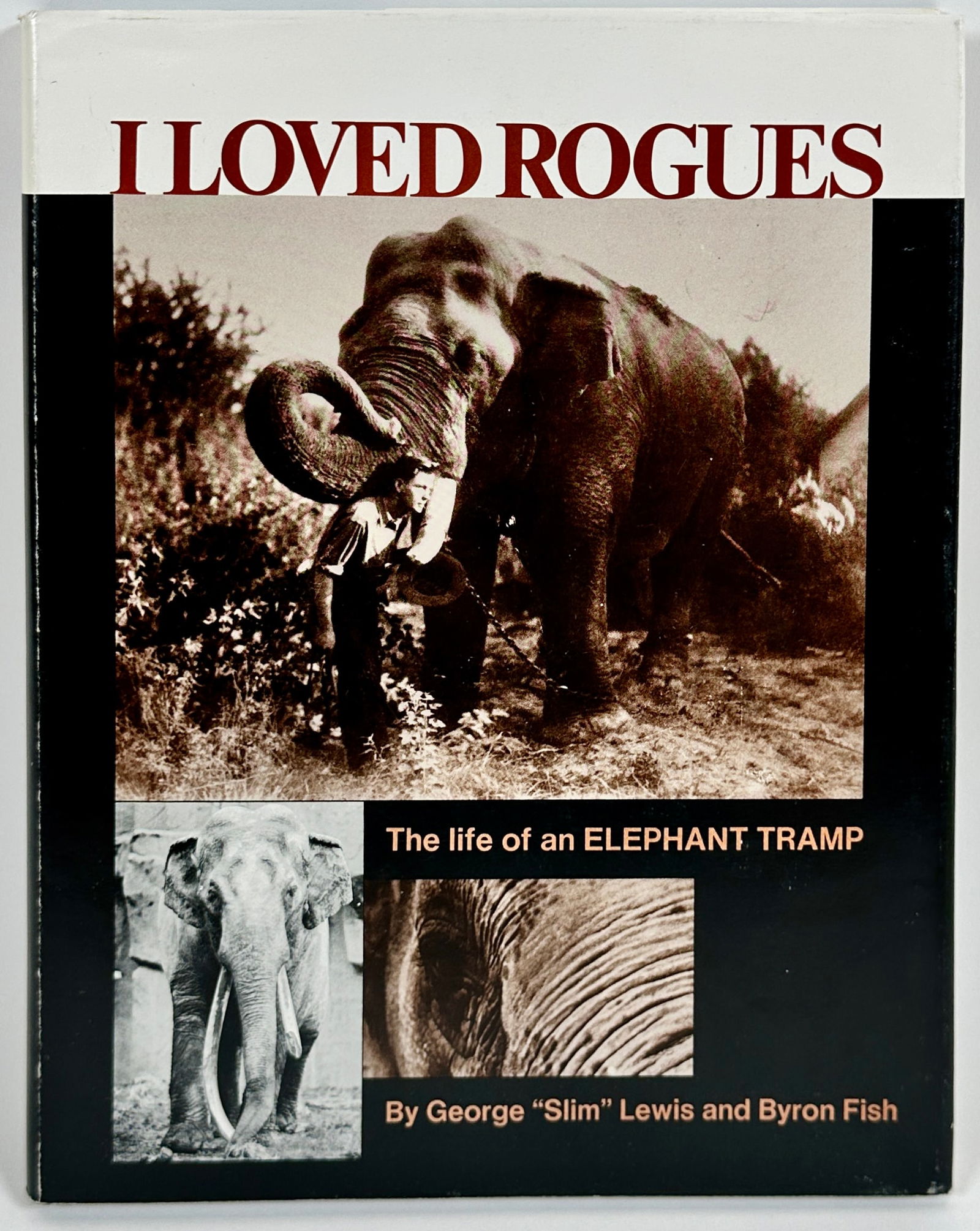 I LOVED ROGUES (1 of 3)