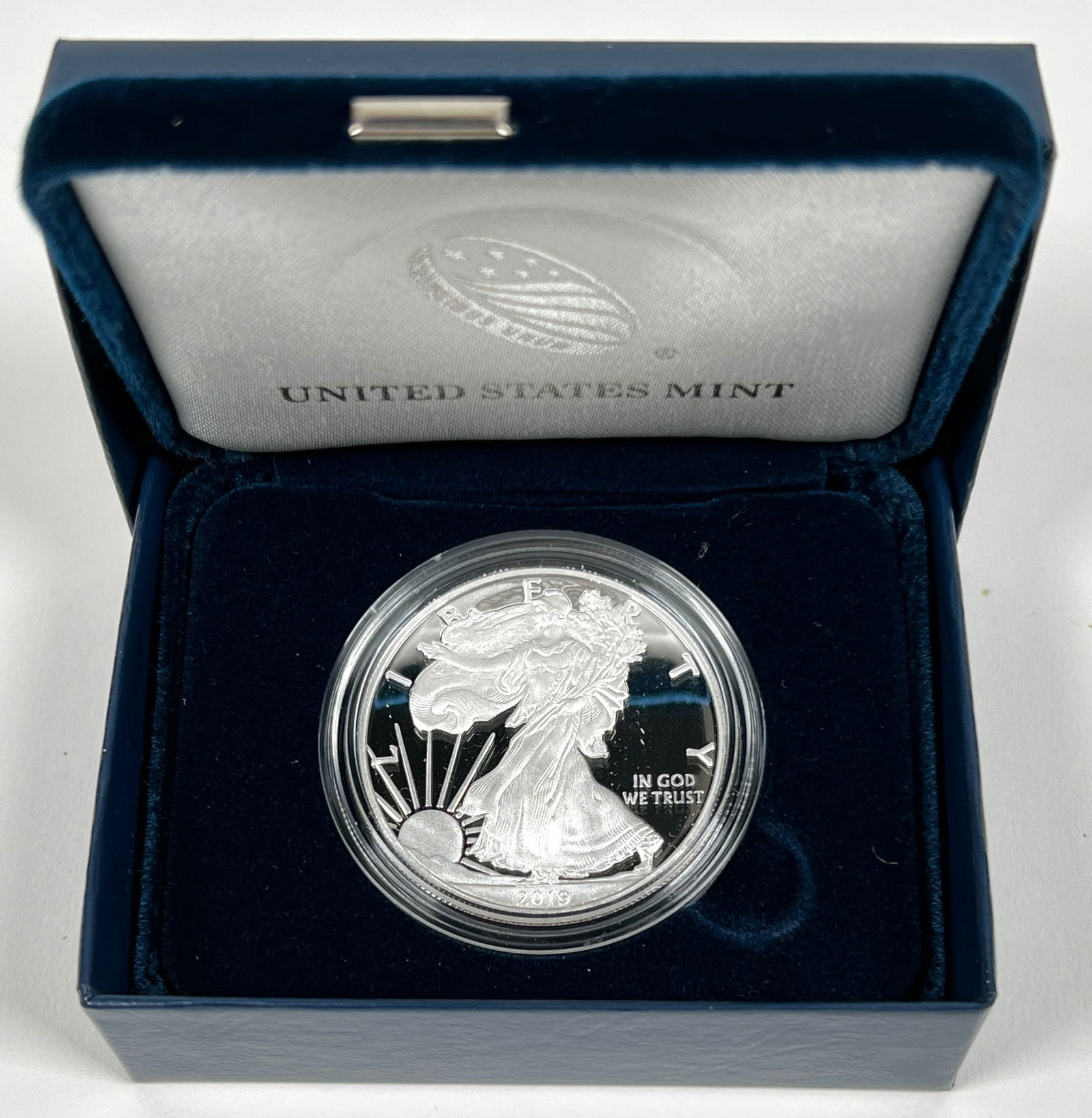 2019 AMERICAN SILVER EAGLE PROOF COIN (1 of 1)
