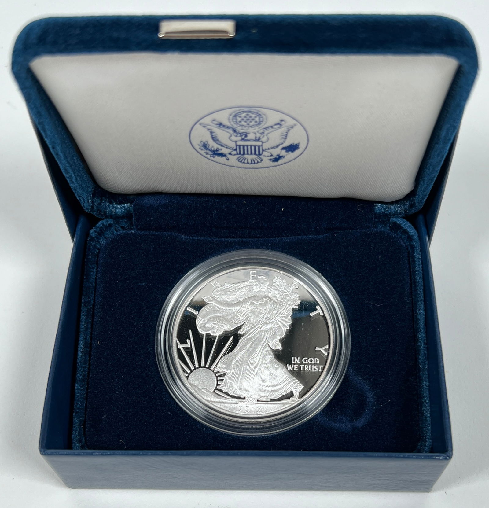 2012 AMERICAN SILVER EAGLE PROOF COIN (1 of 1)