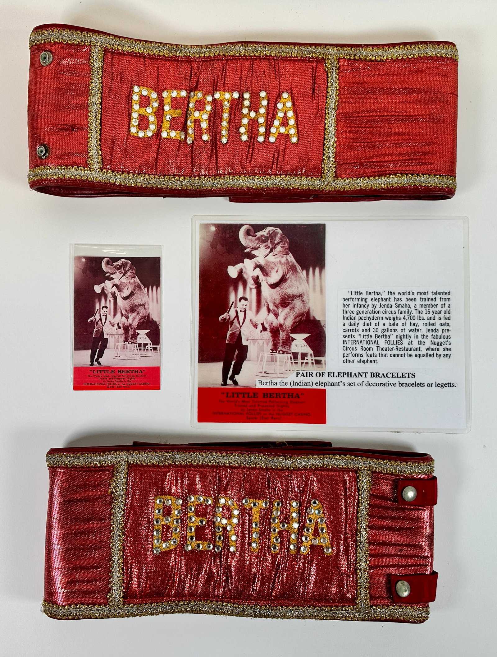 LITTLE BERTHA ELEPHANT BRACELETS: PAIR OF LEGETTS AS WORN BY LITTLE BERTHA, THE WORLD'S MOST TALENTED PERFORMING ELEPHANT, TRAINED BY JENDA SMAHA.