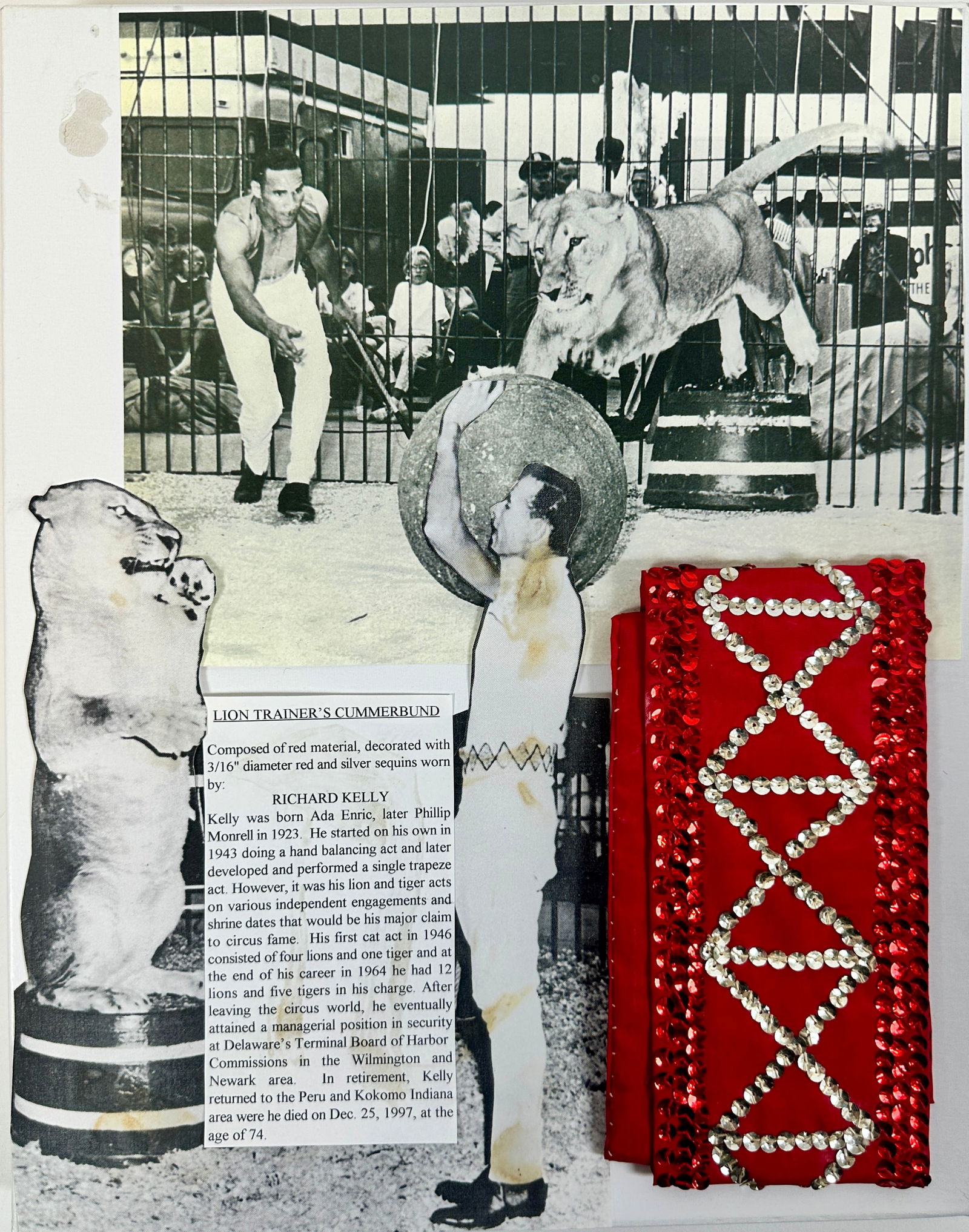 RICHARD KELLY LION TAMER - CUMBERBUND: CAGE WORN CUMBERBUND. RICHARD KELLY (BORN ADA ENRIC/PHILLIP MONRELL, AMERICAN, 1923-1997) BEGAN WITH THE CIRCUS AS A HAND BALANCER AND SINGLE TRAPEZE ACT, HOWEVER, IT WAS HIS LION AND TIGER ACTS THAT