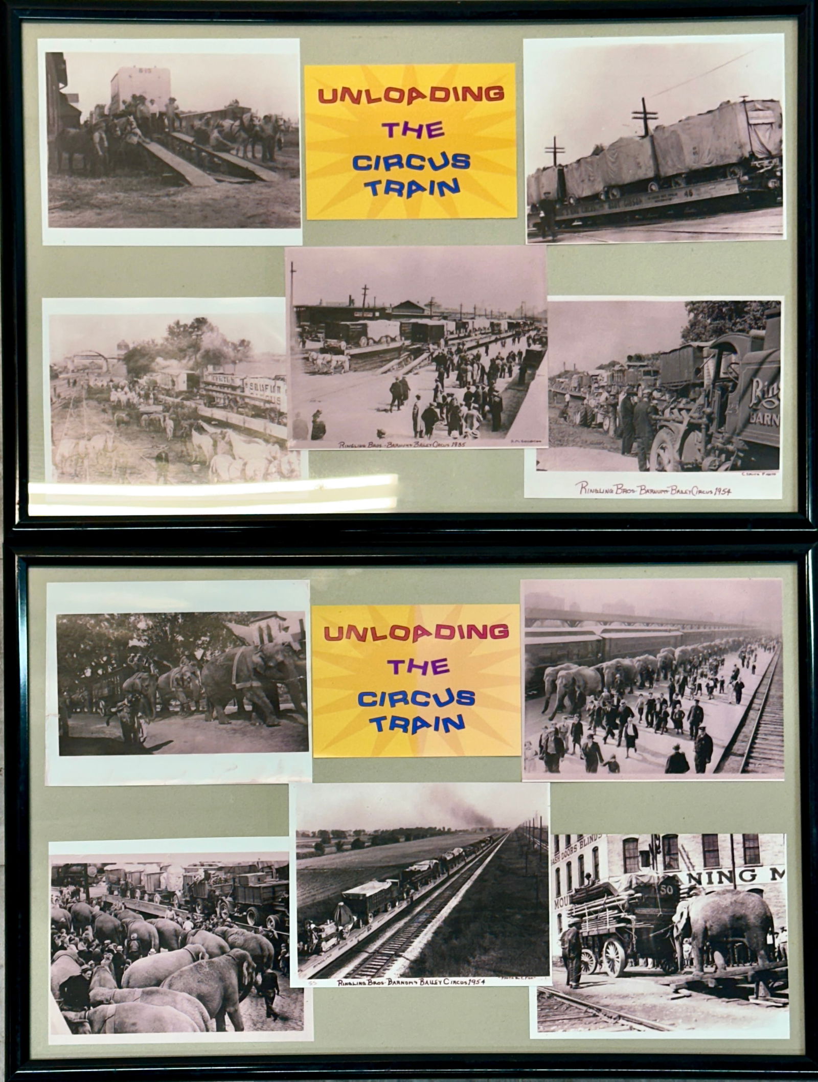 UNLOADING THE CIRCUS TRAIN (1 of 1)