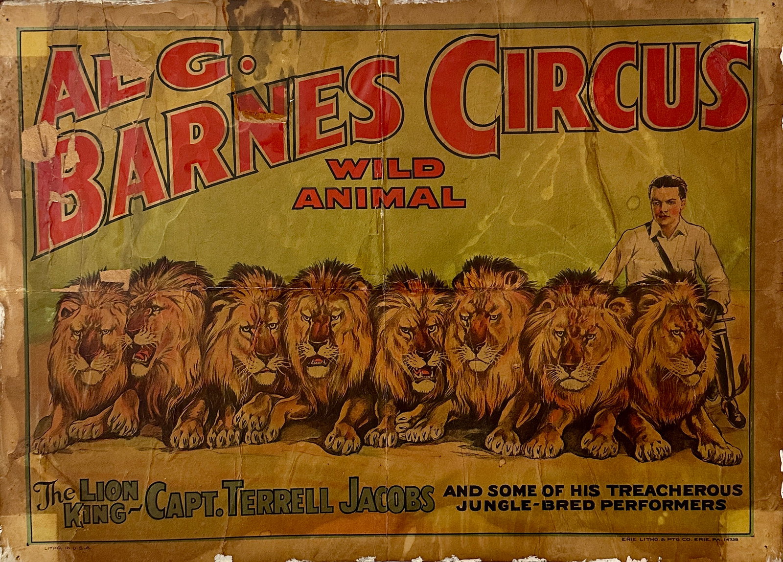 AL G. BARNES CIRCUS POSTER: THE LION KING - CAPT. TERRELL JACOBS AND SOME OF HIS TREACHEROUS JUNGLE-BRED PERFORMERS. HALF SHEET, ERIE LITHO, C.1930'S. MOUNTED ON BOARD, SCATTERED WEAR AND LOSS. 21"X28"