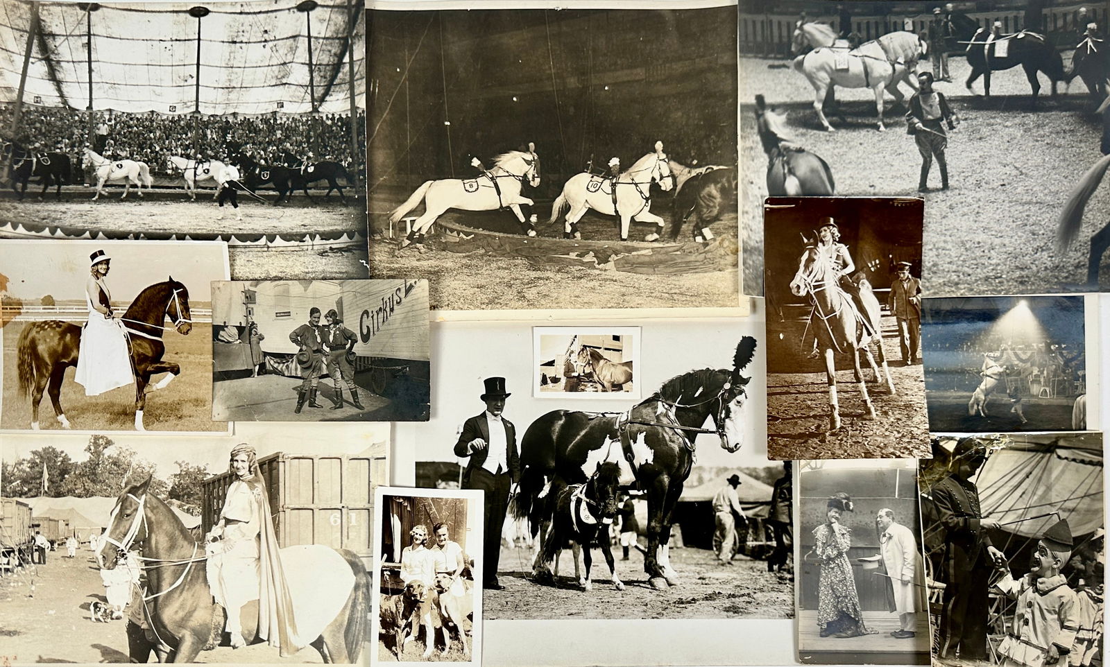 RUDY RUDYNOFF CIRCUS PHOTO COLLECTION (1 of 5)