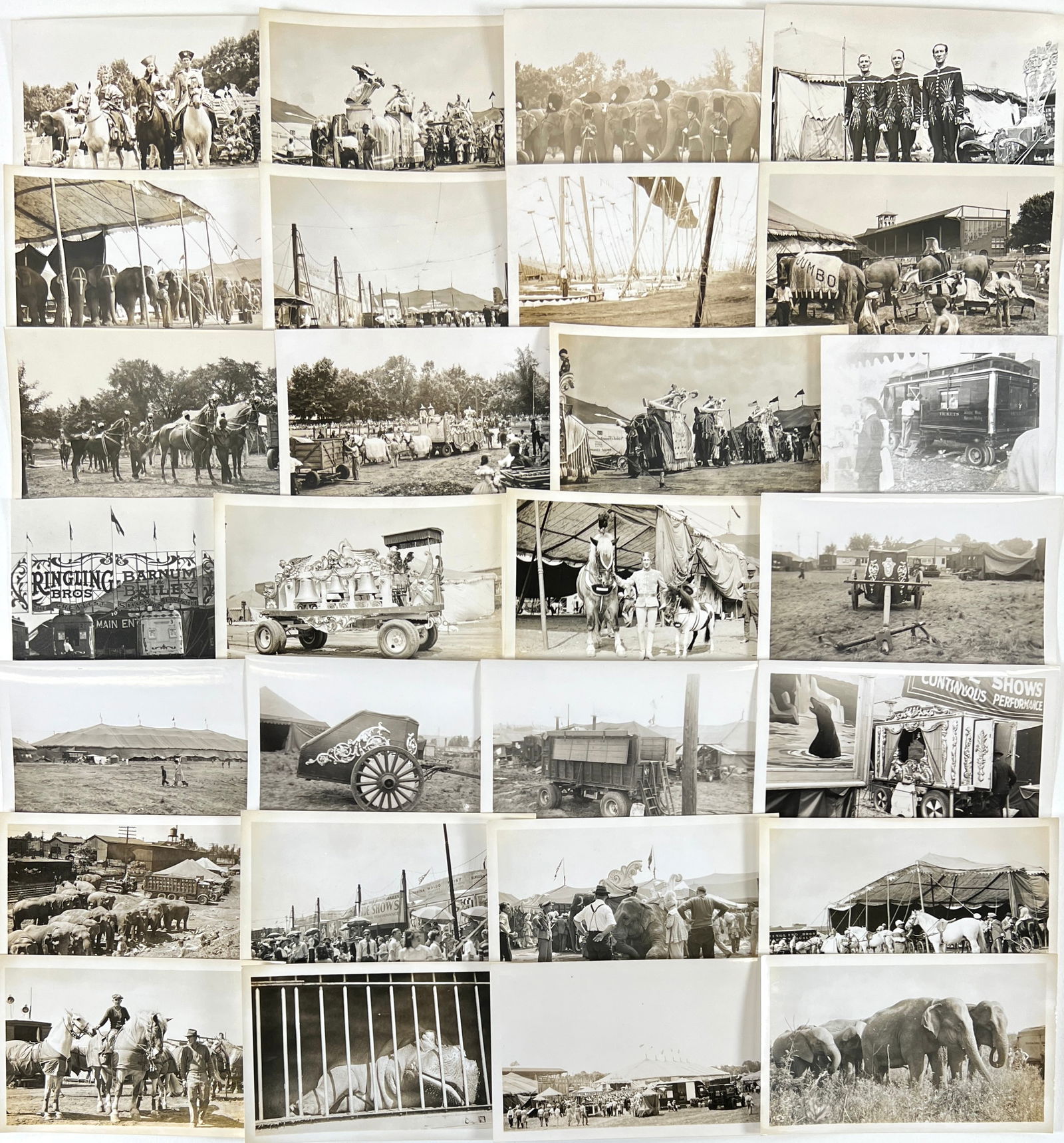 RINGLING BROS. BARNUM BAILEY CIRCUS PHOTOGRAPHS (1 of 1)