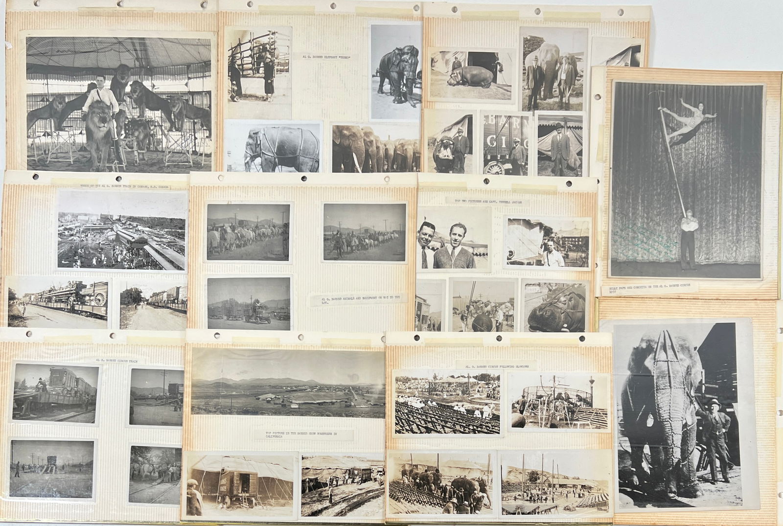 AL G. BARNES CIRCUS PHOTOGRAPH COLLECTION (1 of 1)