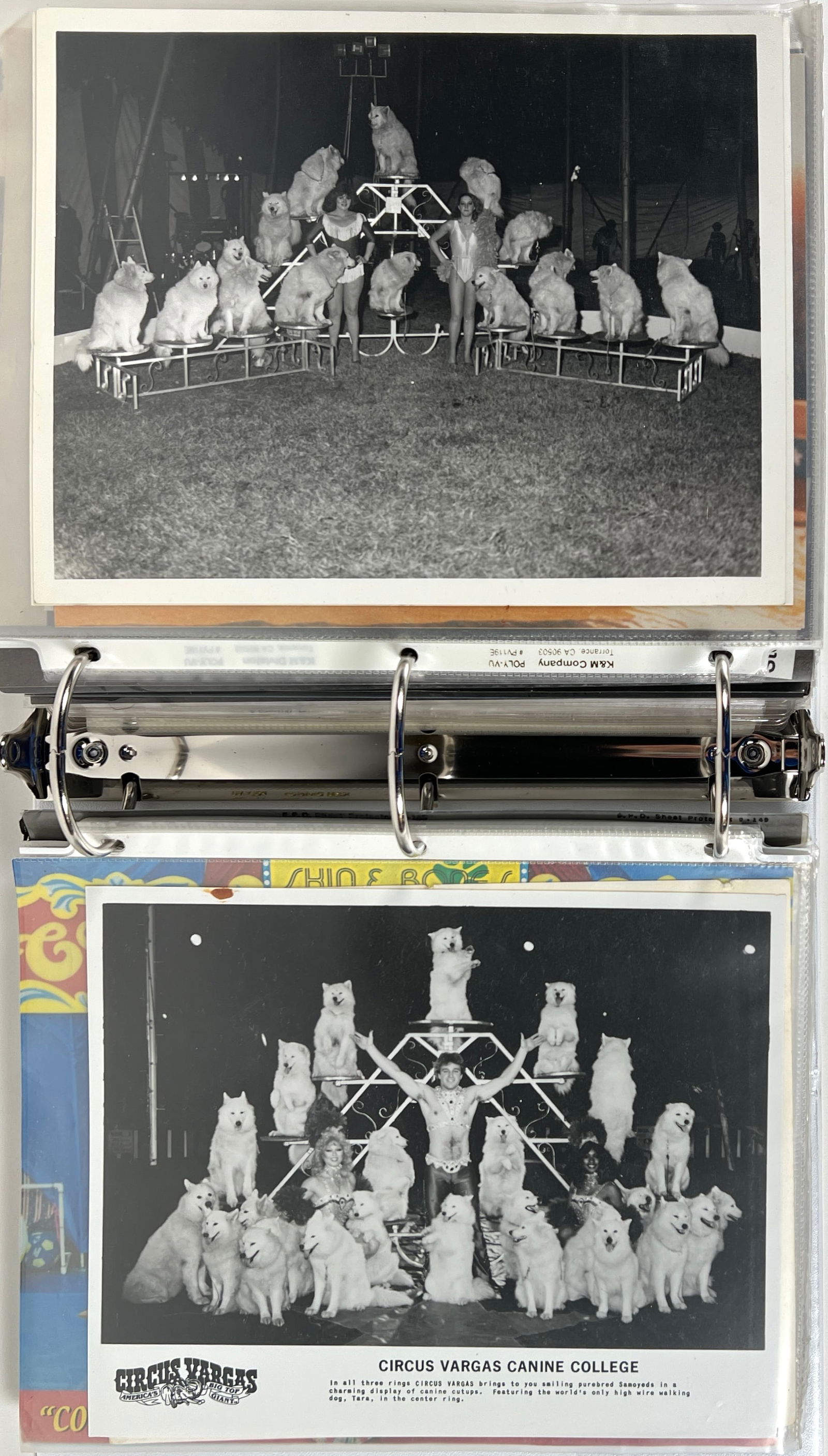 ROBERT F. HOUSTON CIRCUS ARCHIVE (1 of 7)