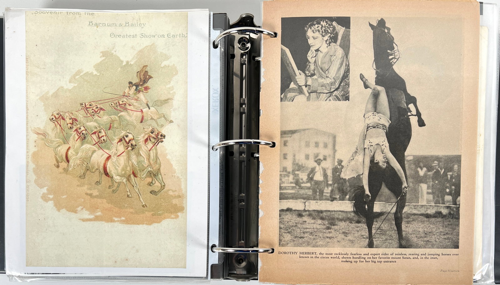 ROBERT F. HOUSTON CIRCUS ARCHIVE (1 of 6)